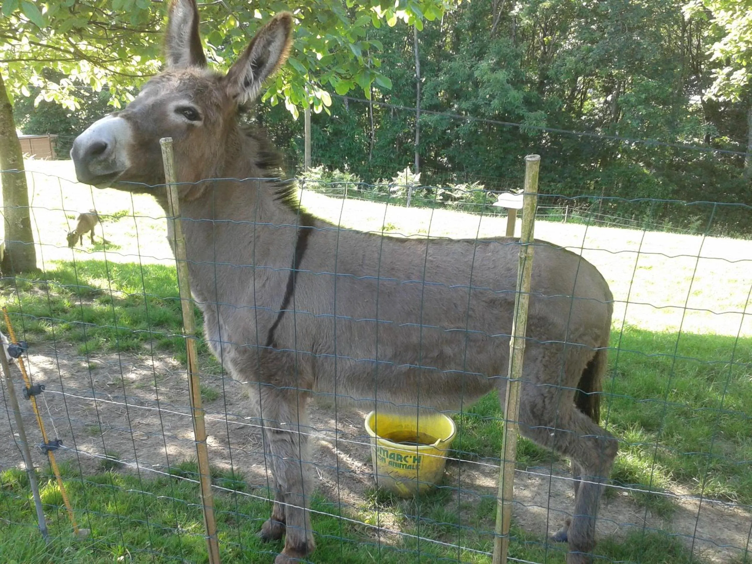 Garden in Maison d'hôtes Les Vallées