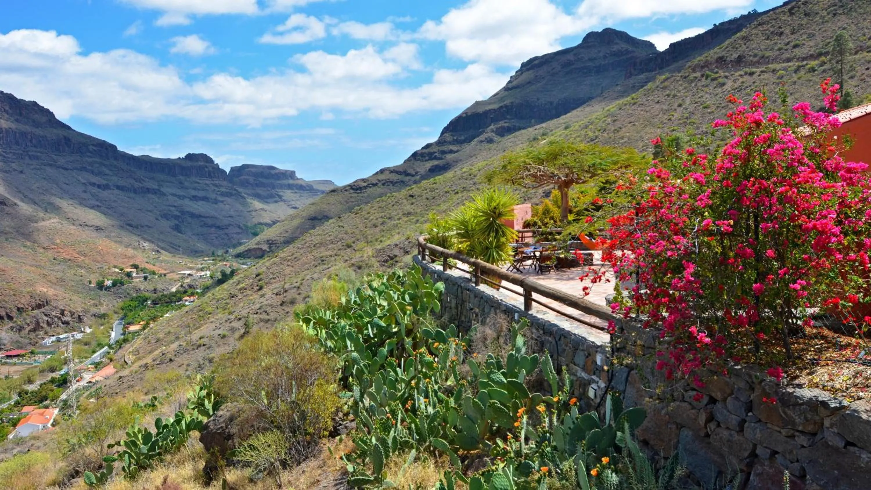 Finca Las Olivas - Unique country house with heated pool
