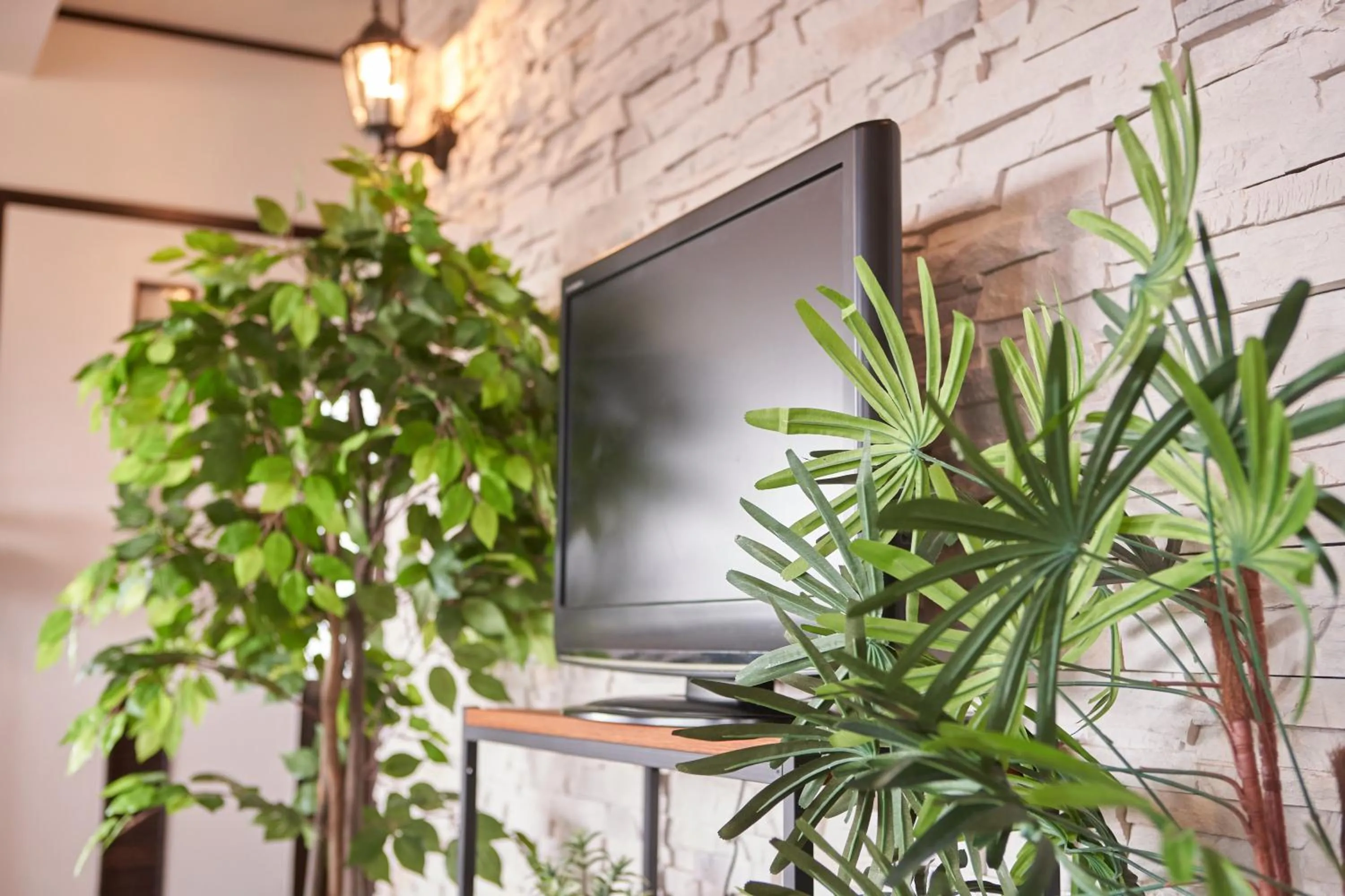 TV and multimedia in Wind Henza