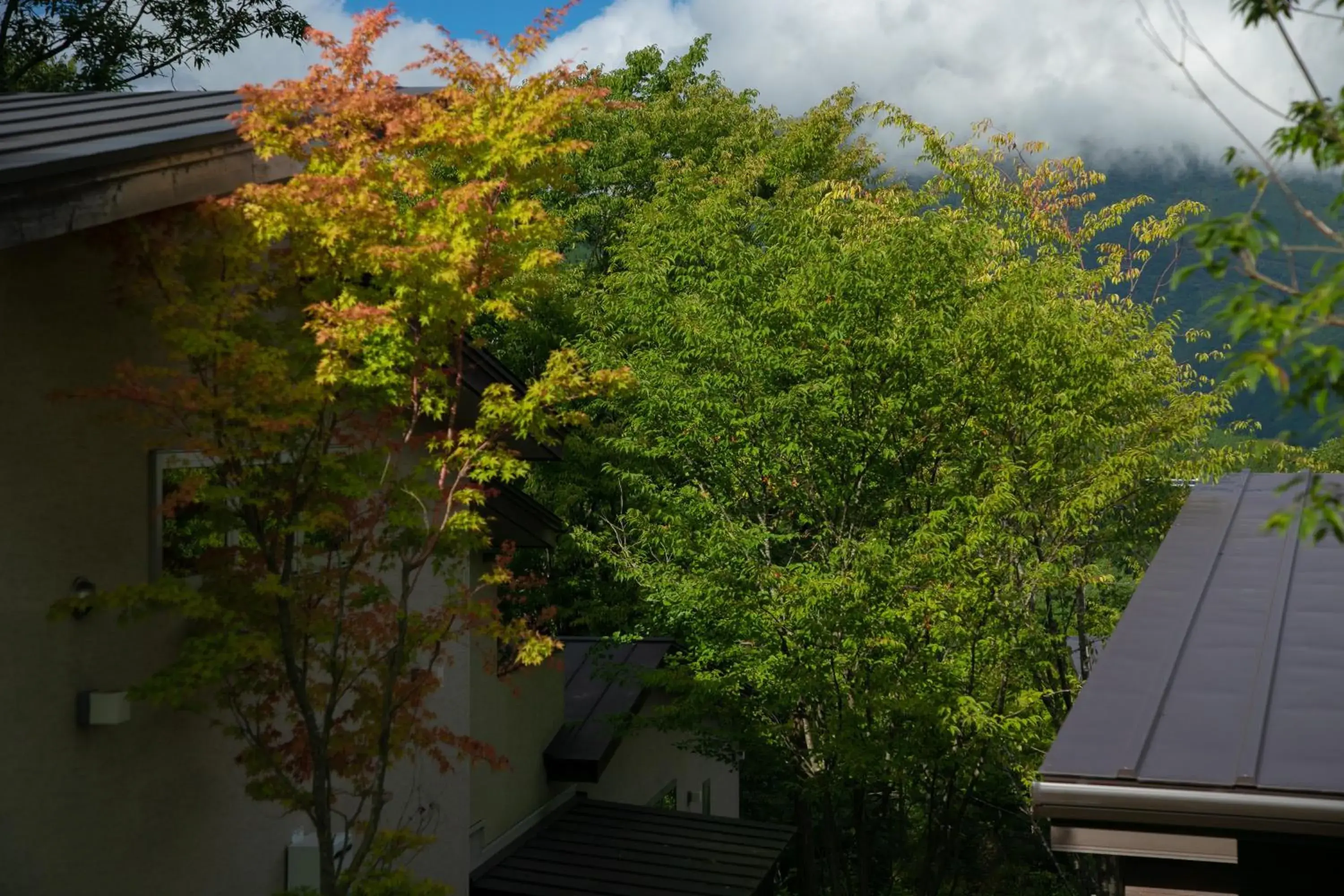 Innter Hill Tsubasa Yufuin Innter Hill Tsubasa Yufuin