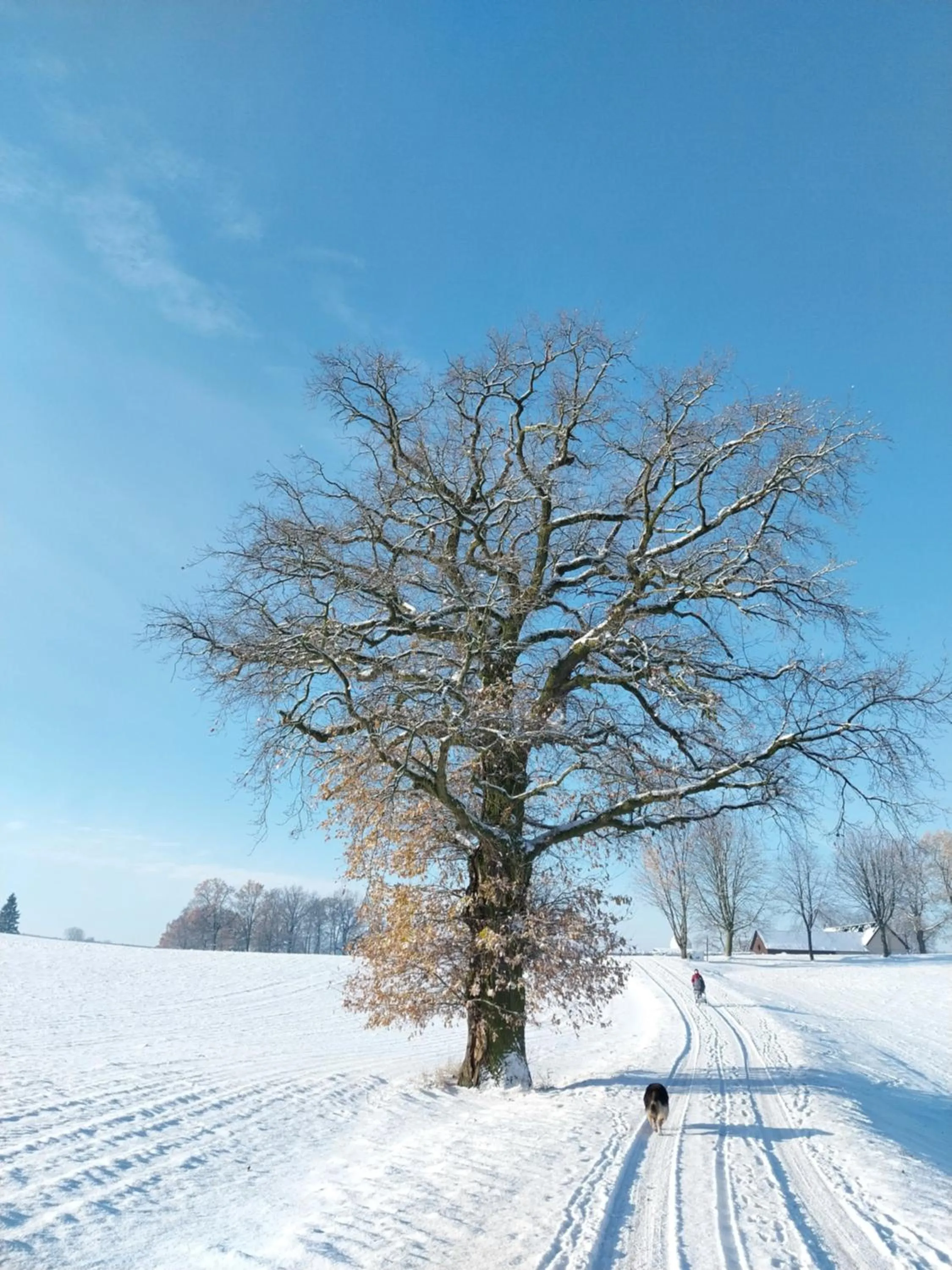 Staff in Landhotel Waldschlößchen mit Gaststube