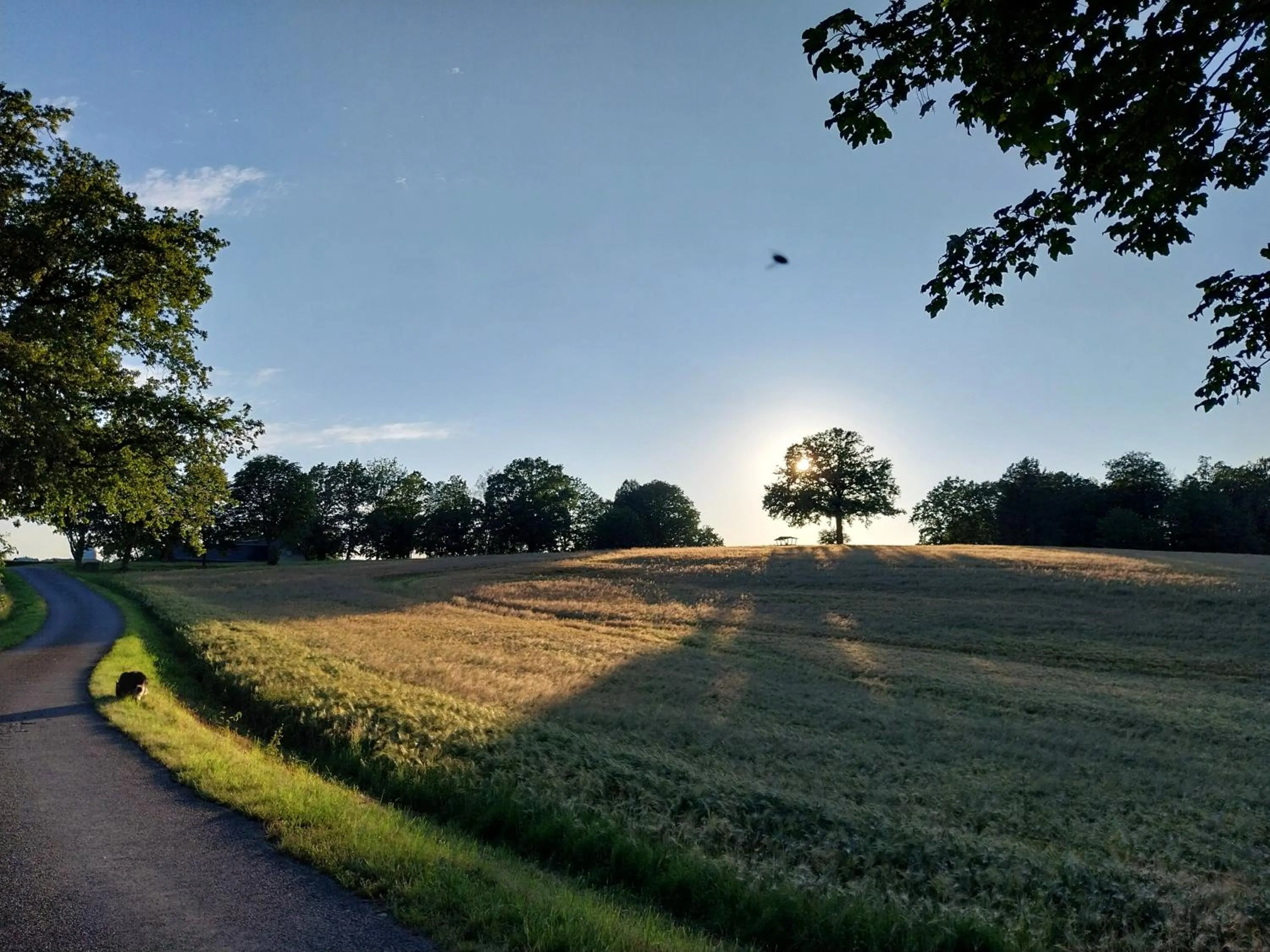 Hiking in Landhotel Waldschlößchen mit Gaststube
