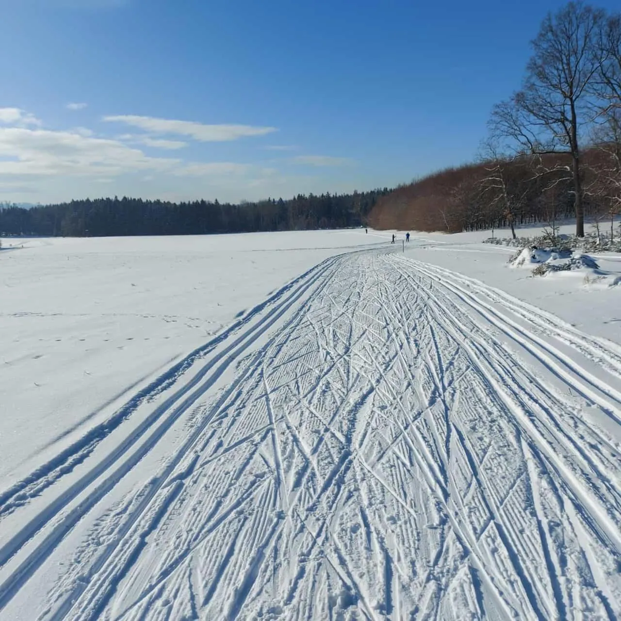 Natural landscape in Landhotel Waldschlößchen mit Gaststube
