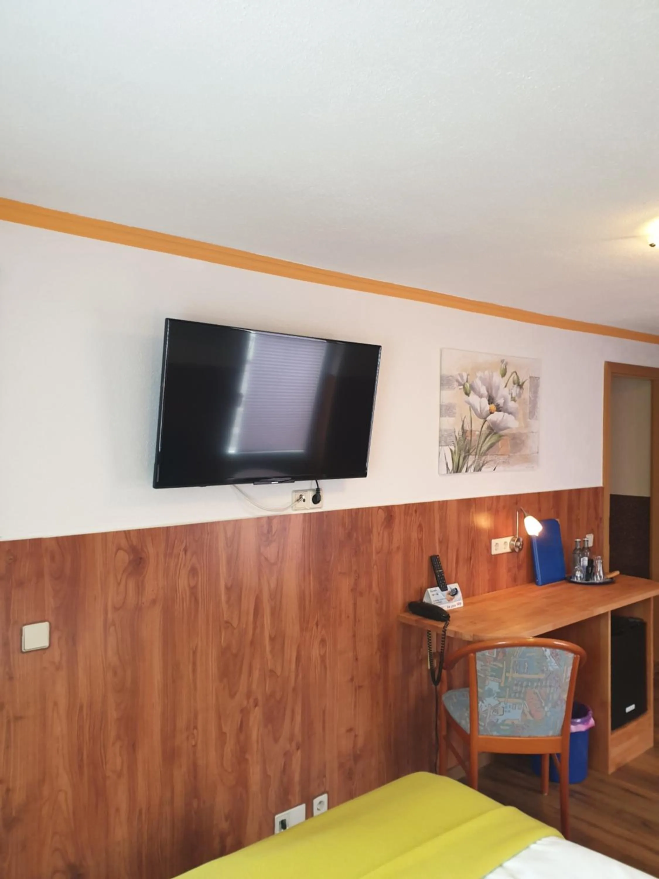 TV and multimedia, Bed in Landhotel Waldschlößchen mit Gaststube