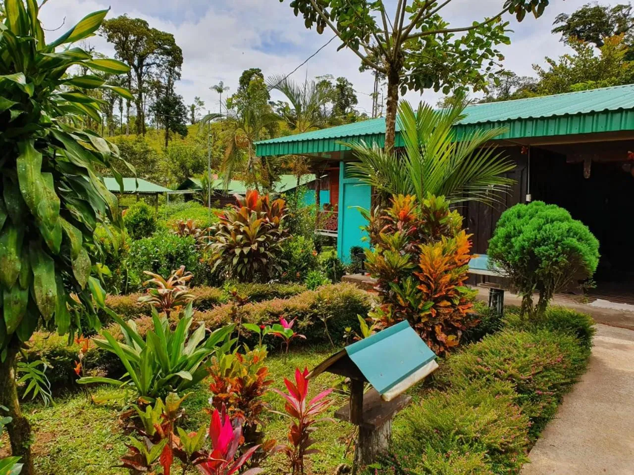 Double Room - single occupancy in Posada Río Celeste La Amistad
