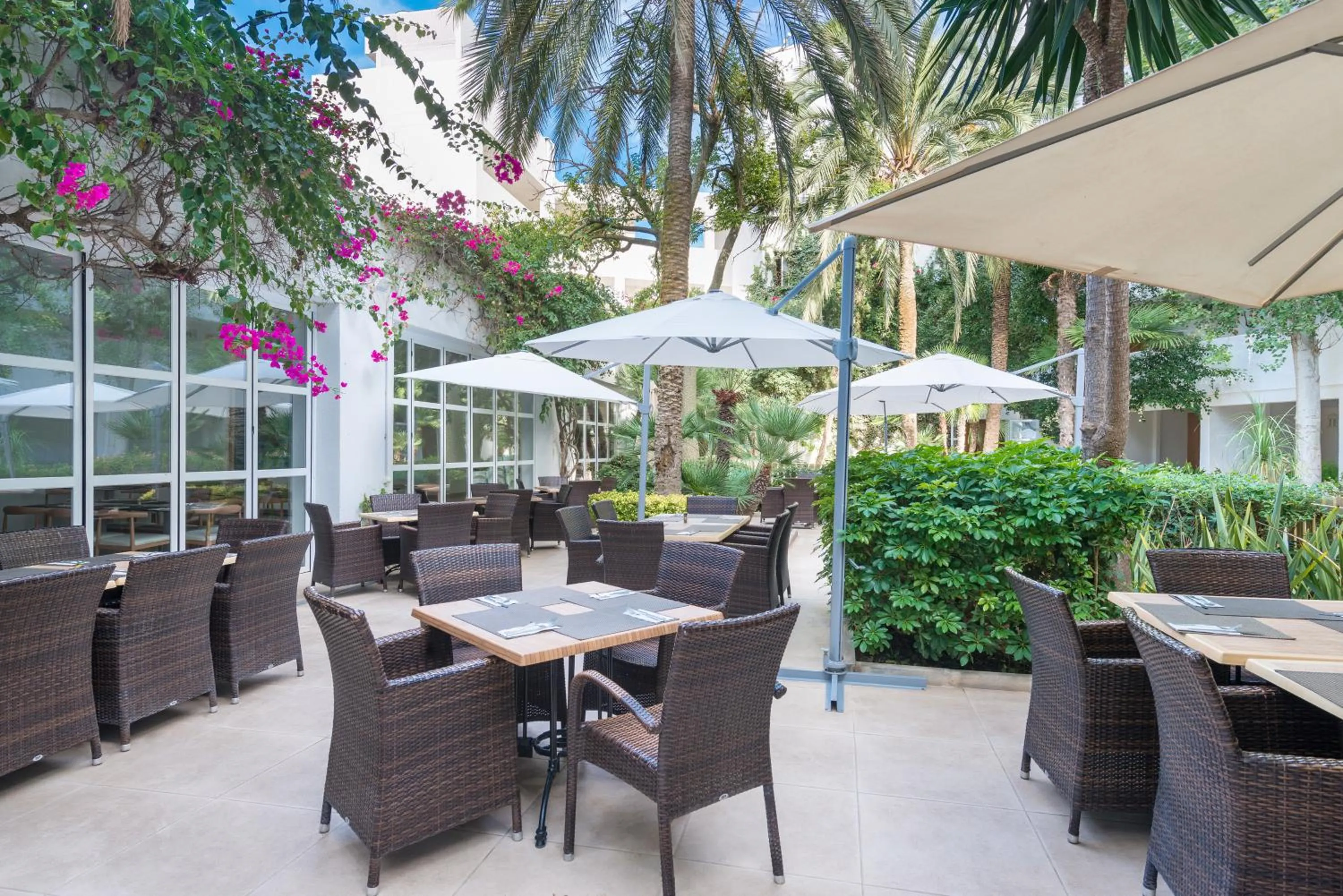 Patio in Aparthotel Ses Fotges