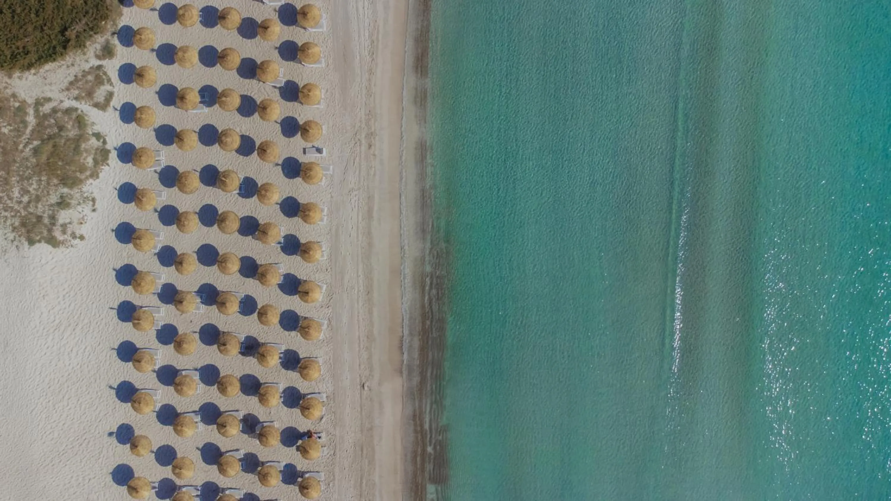 Beach in Aparthotel Ses Fotges