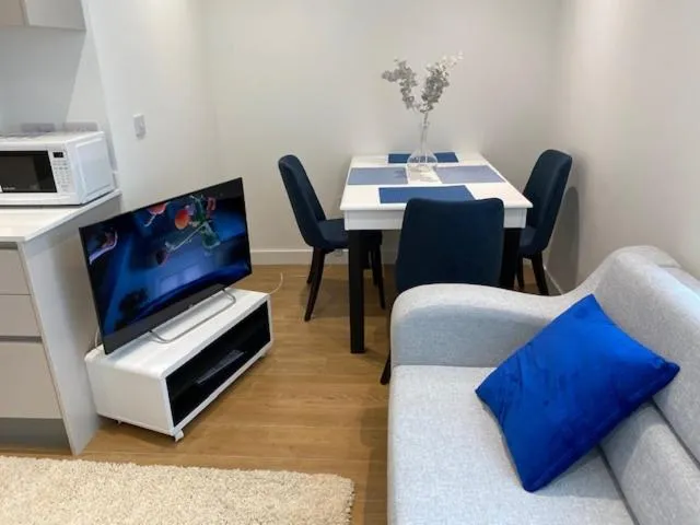 TV and multimedia in Berks Luxury Serviced Apartments , free parking, free Gym and free wifi