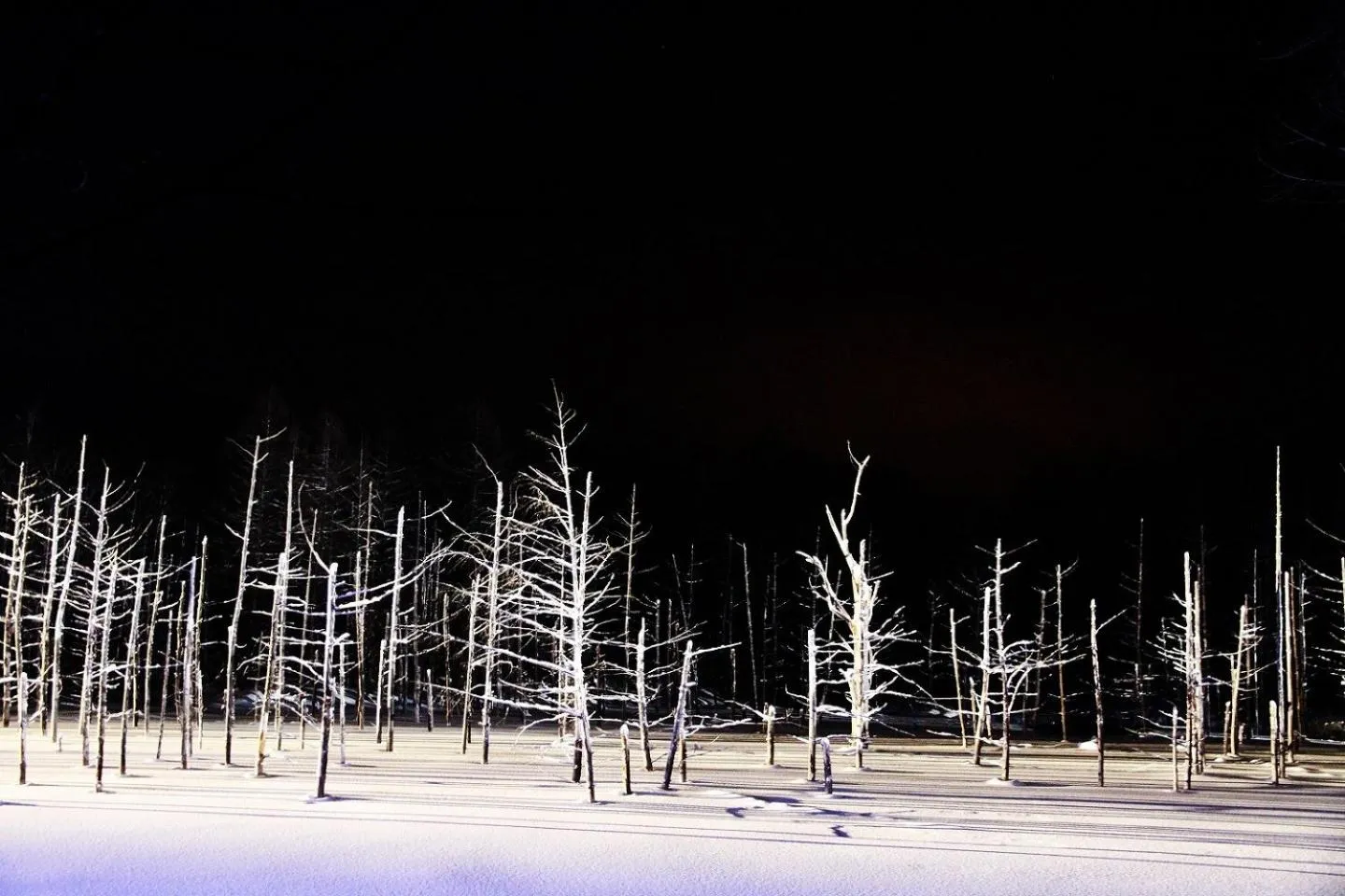 Nearby landmark in Stay in Yamabe