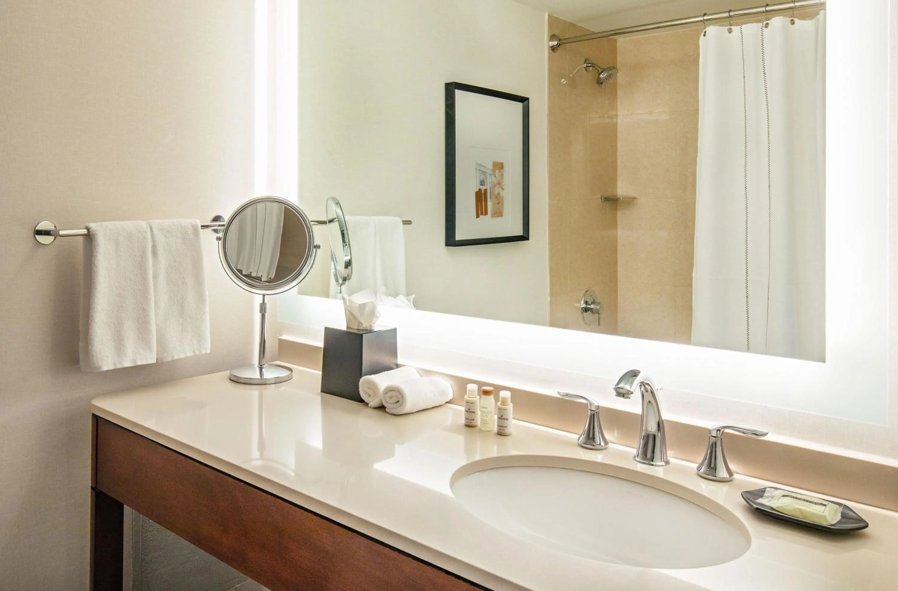 Bathroom in Sheraton Boston Needham Hotel