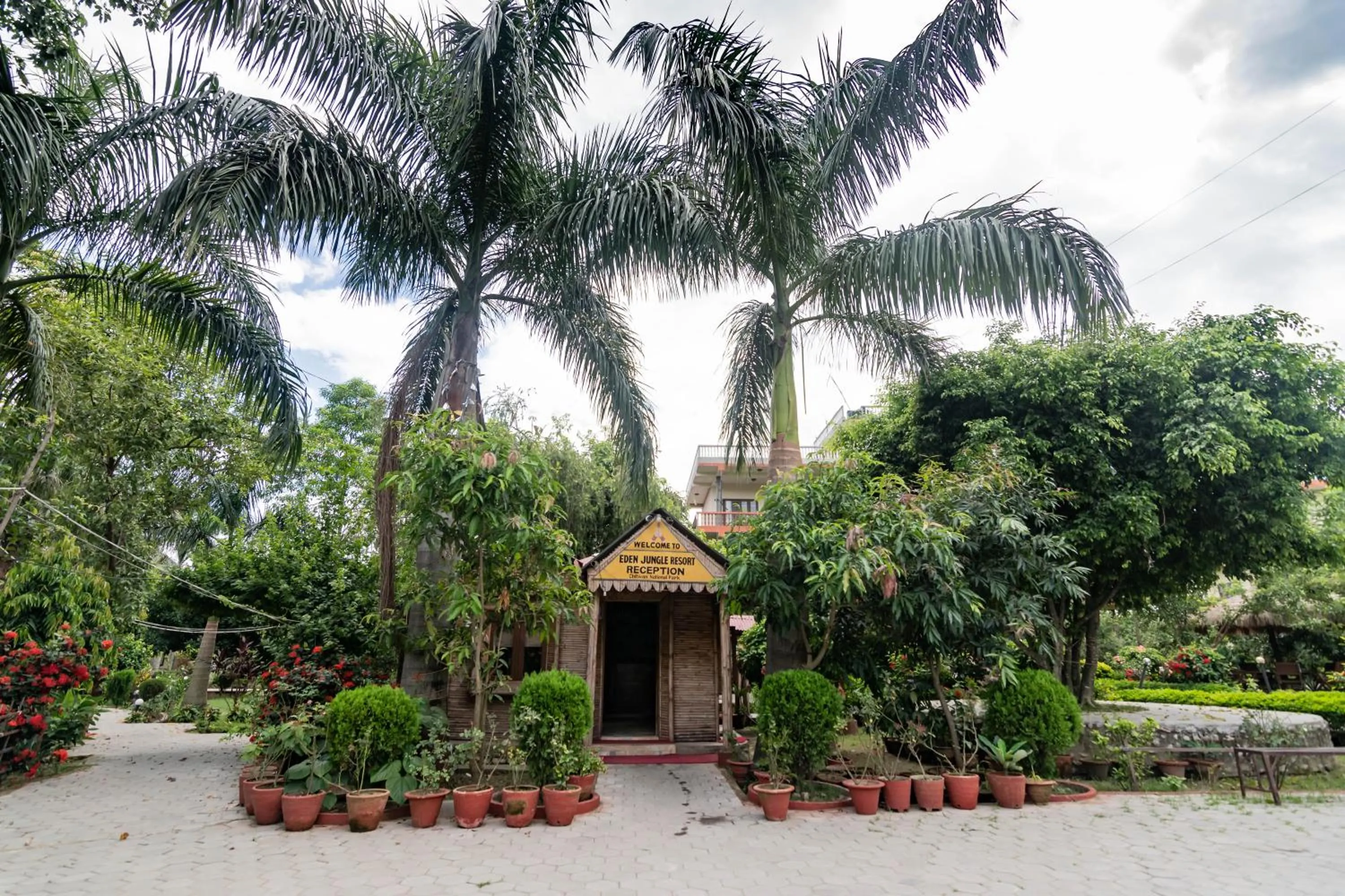Facade/entrance in Eden jungle resort