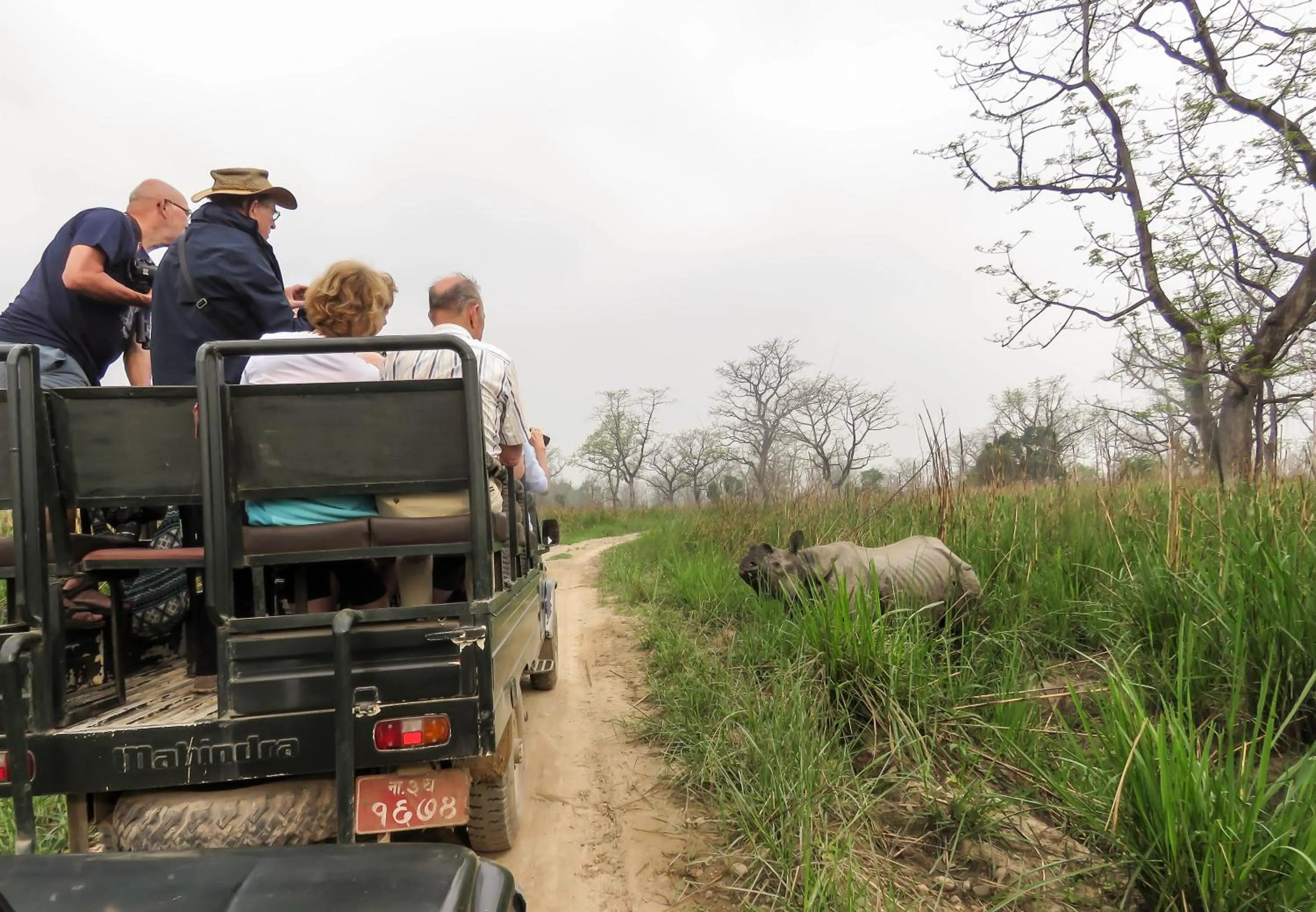 Activities in Eden jungle resort