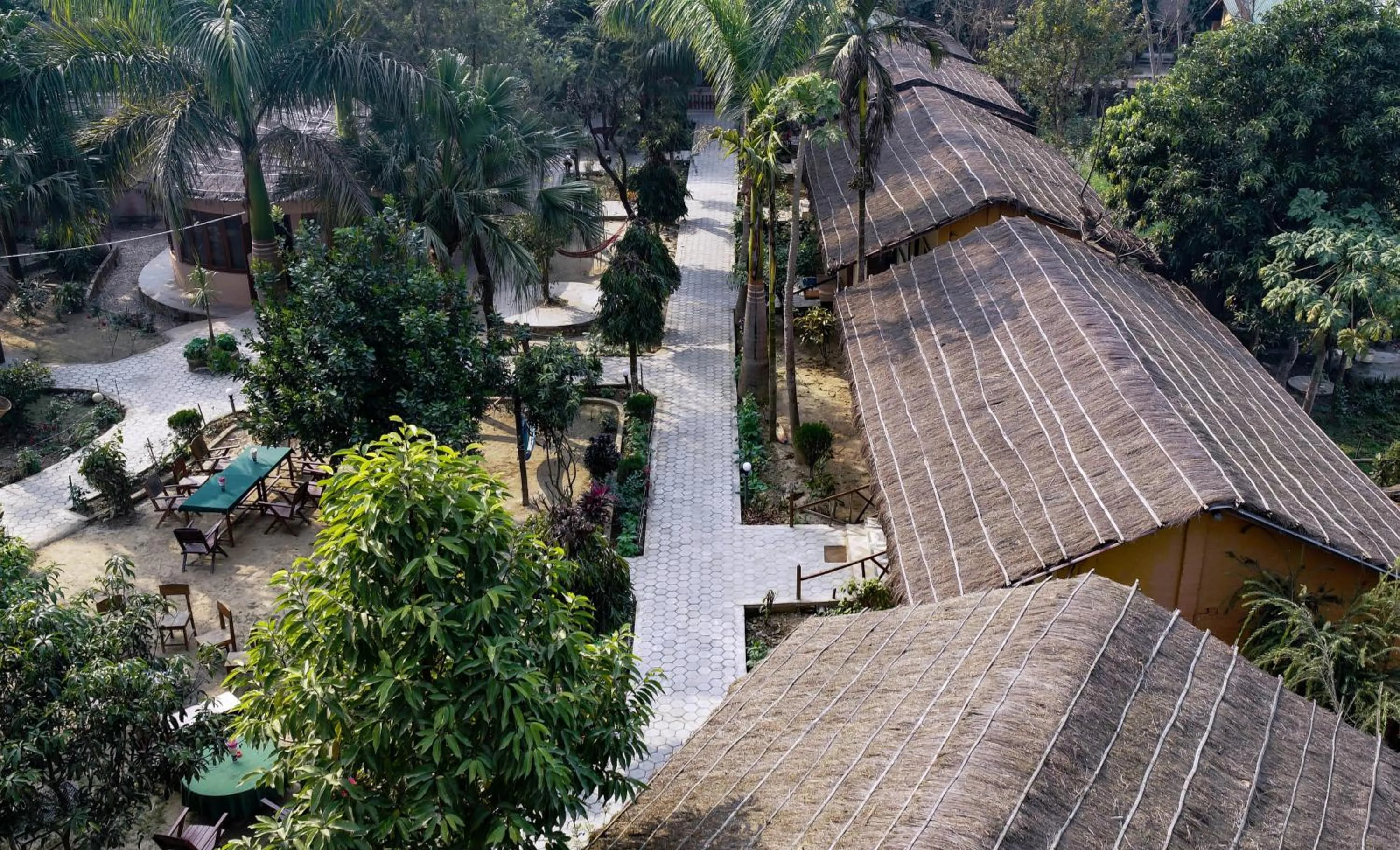 Bird's eye view in Eden jungle resort