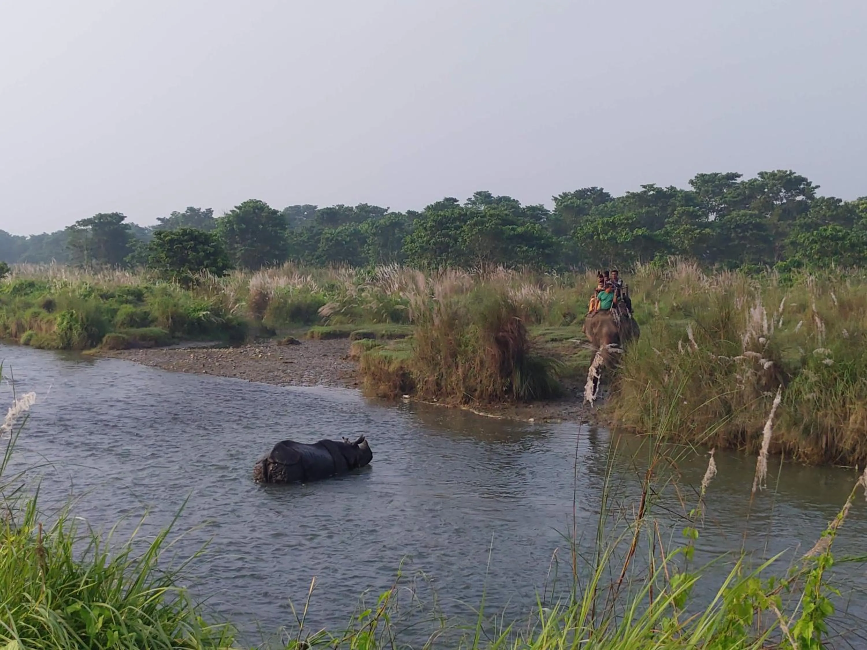 Activities in Eden jungle resort
