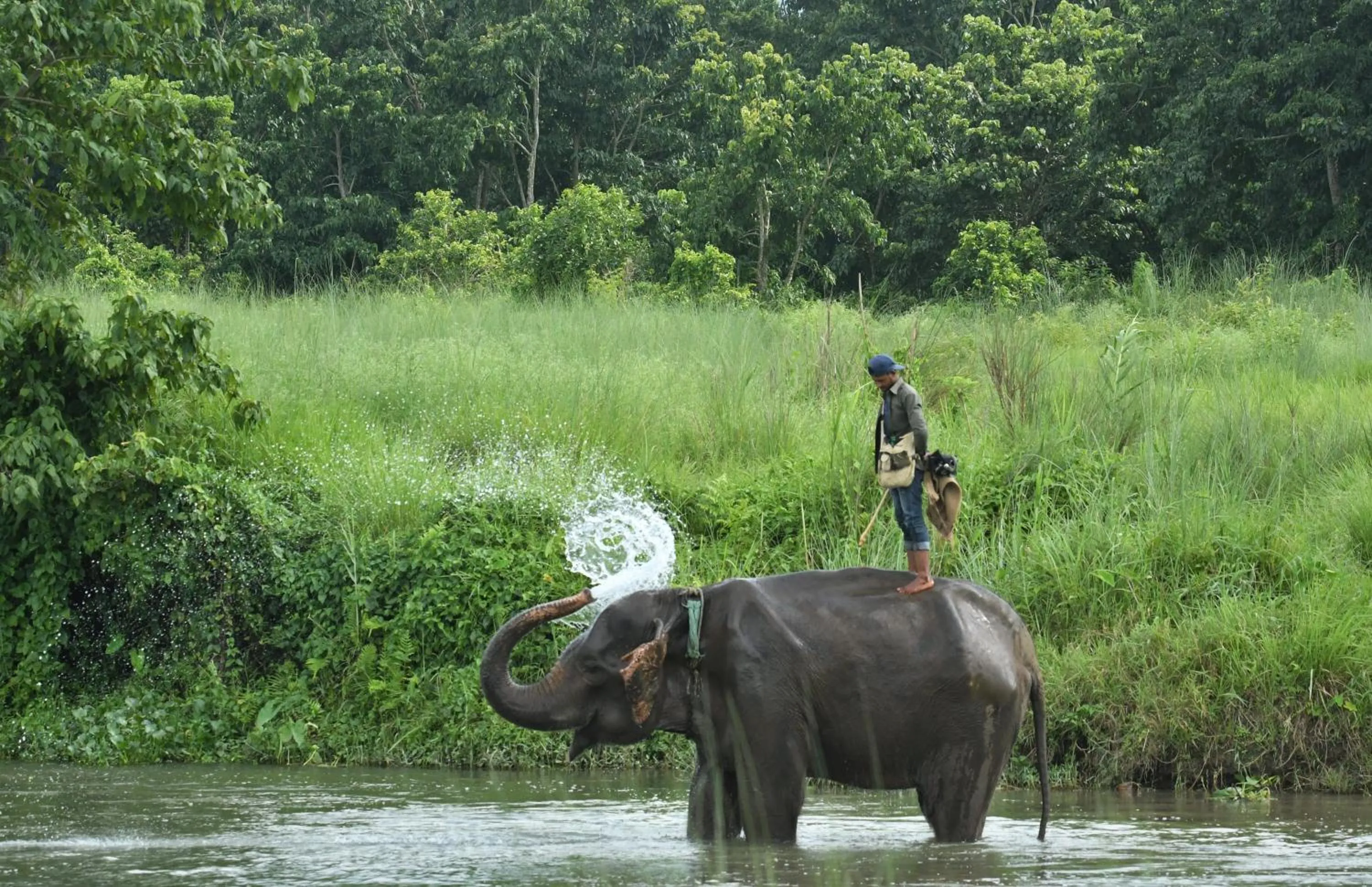 Activities in Eden jungle resort