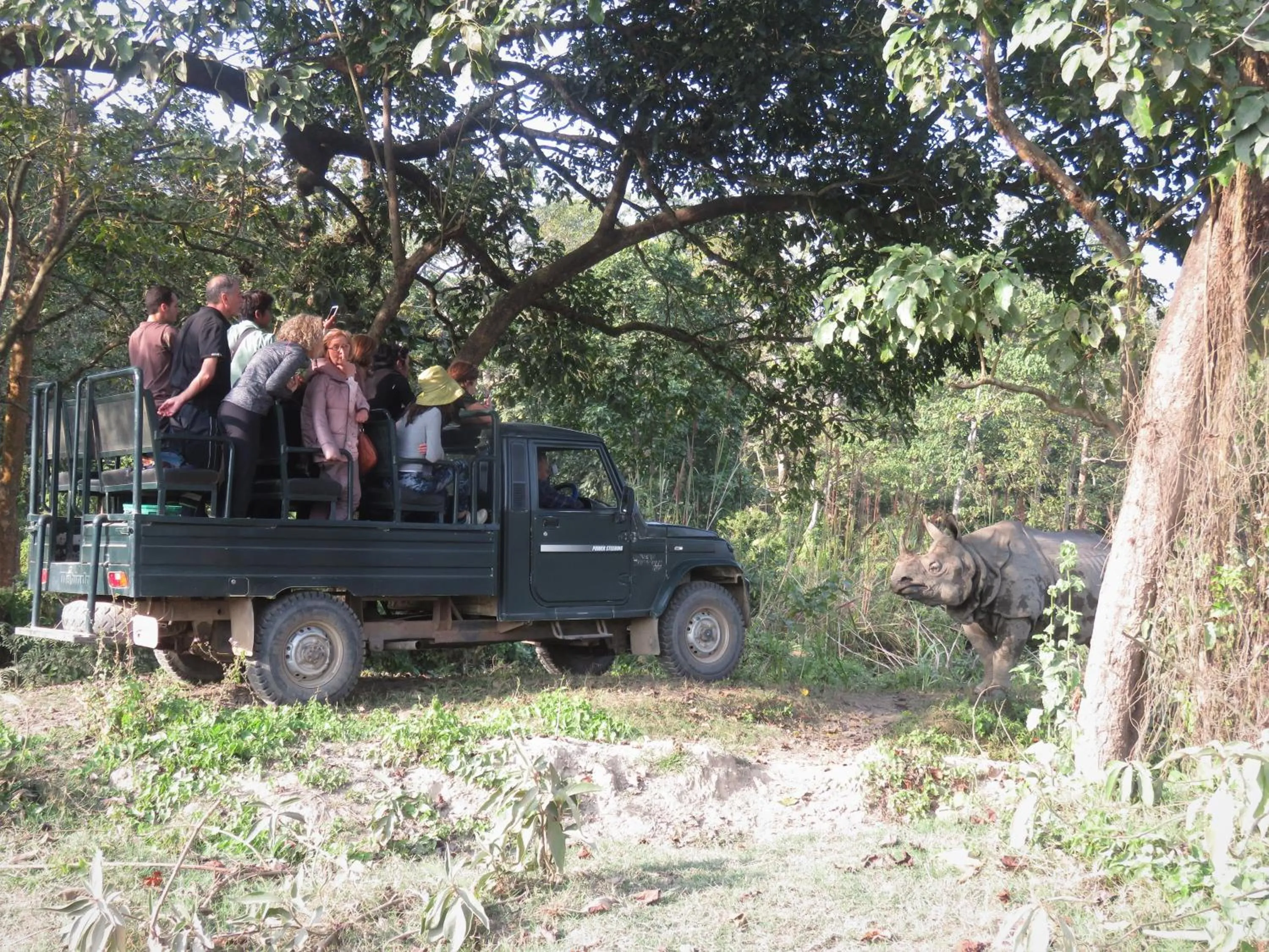 Activities in Eden jungle resort