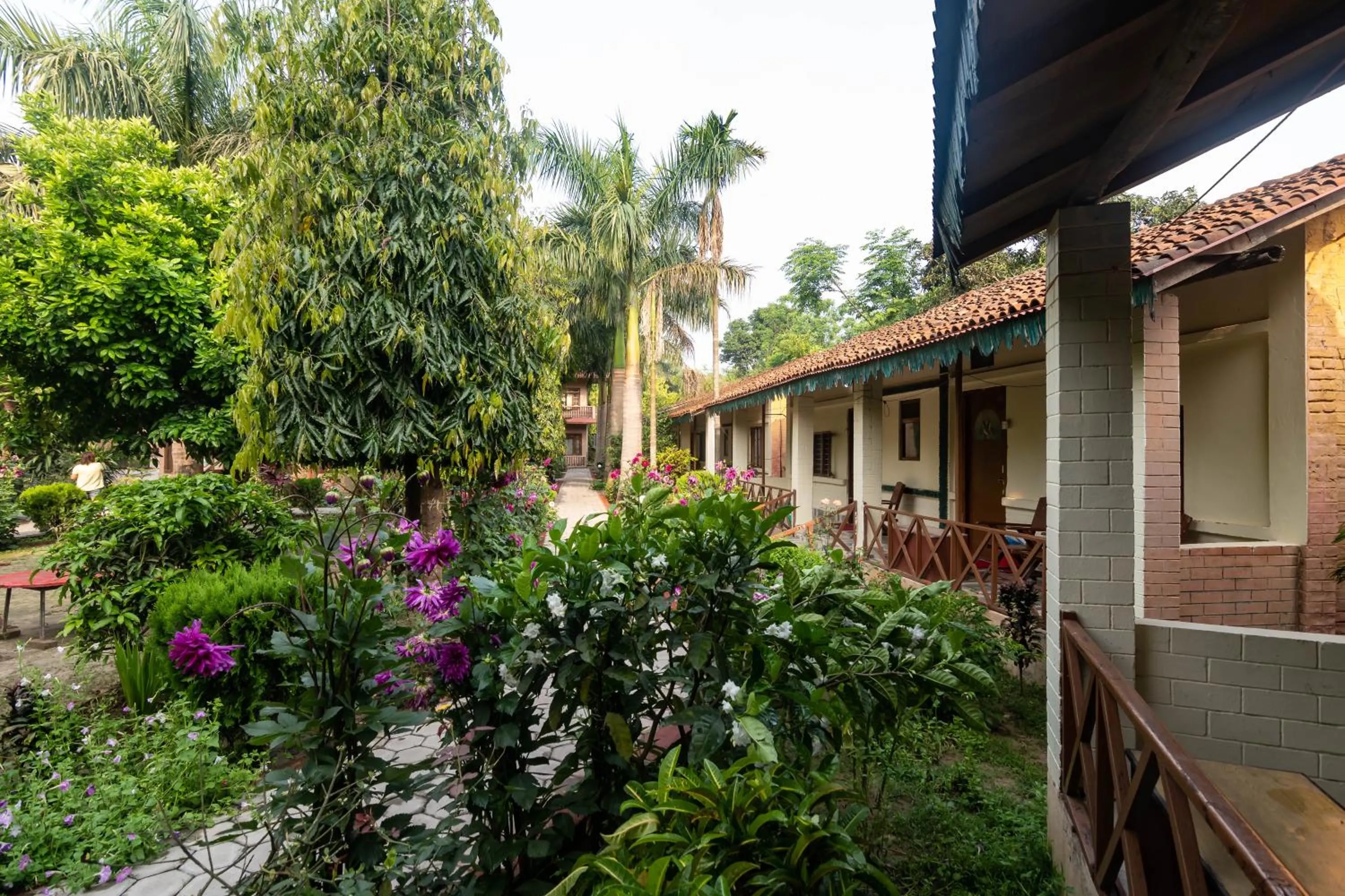 Balcony/Terrace in Eden jungle resort