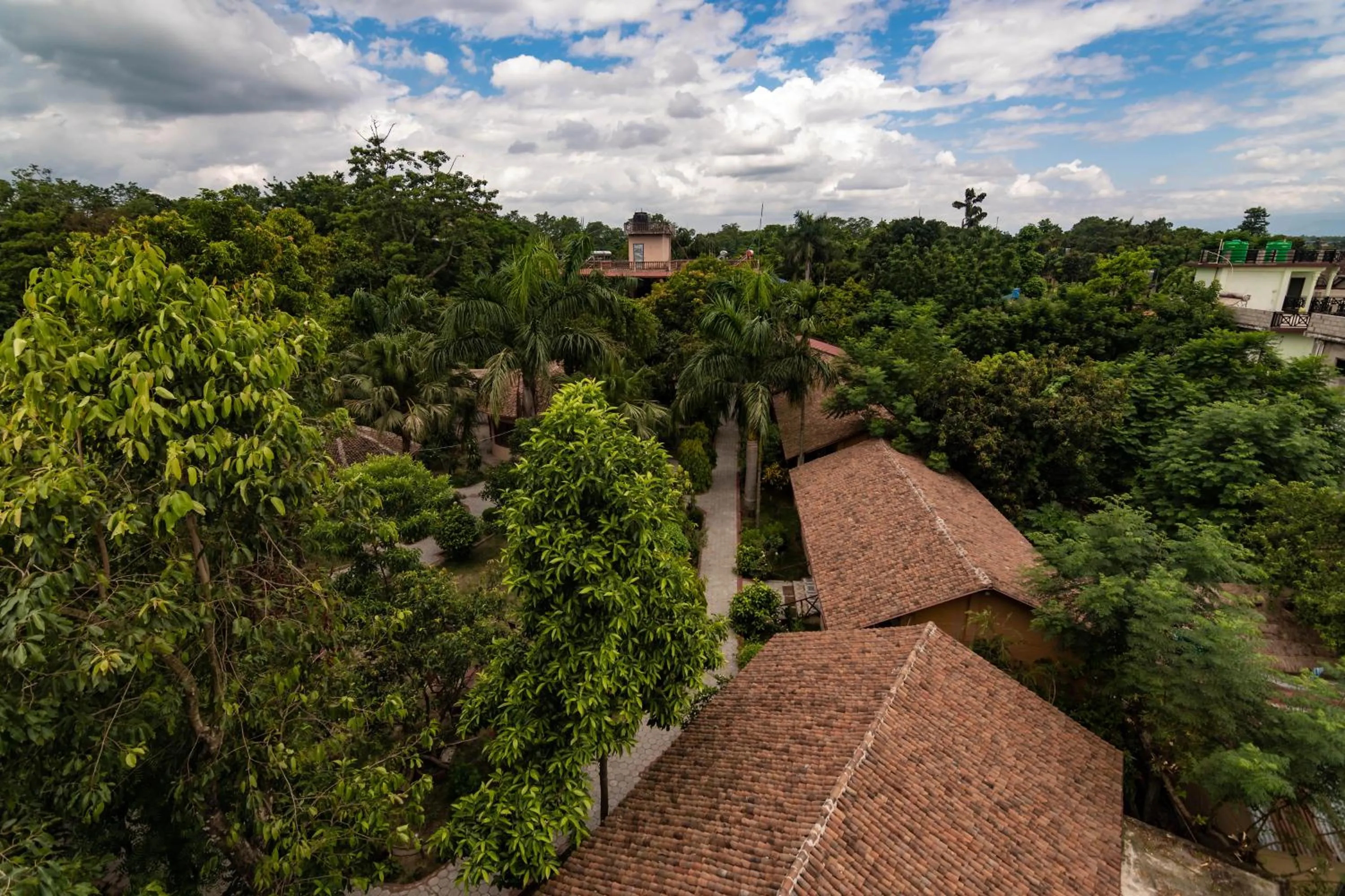 Garden view in Eden jungle resort