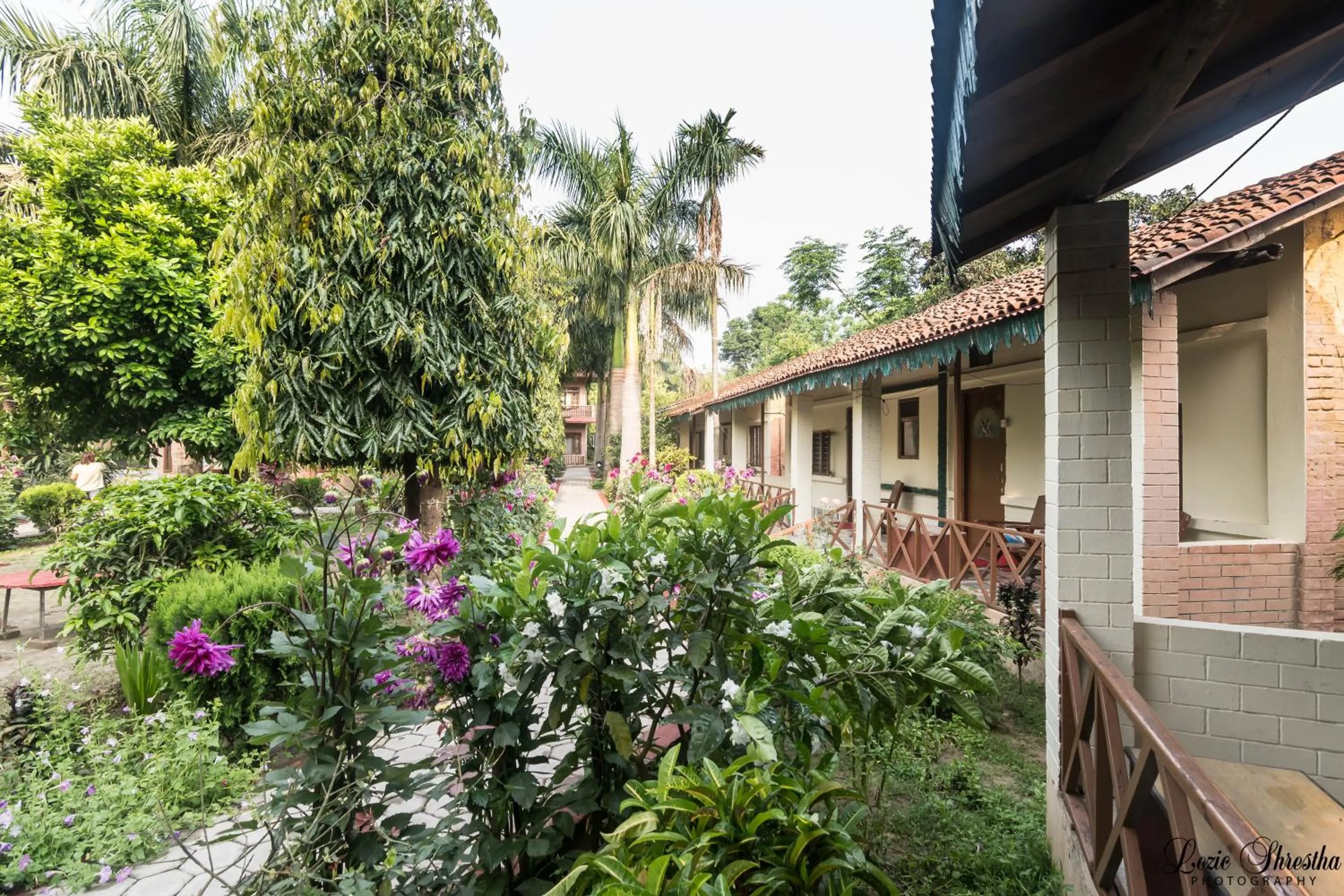 Property building in Eden jungle resort