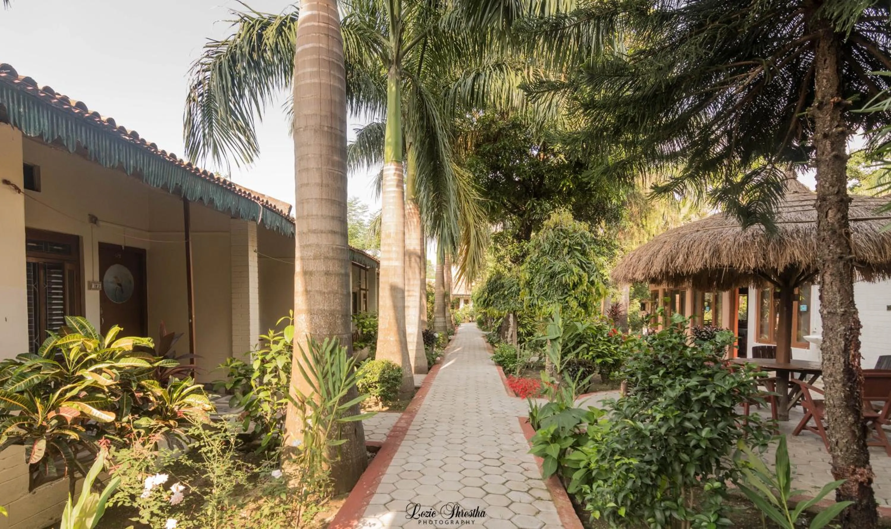 Garden view in Eden jungle resort