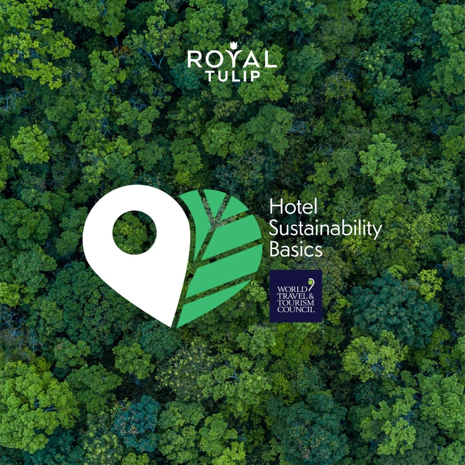 Certificate/Award in Royal Tulip Muscat