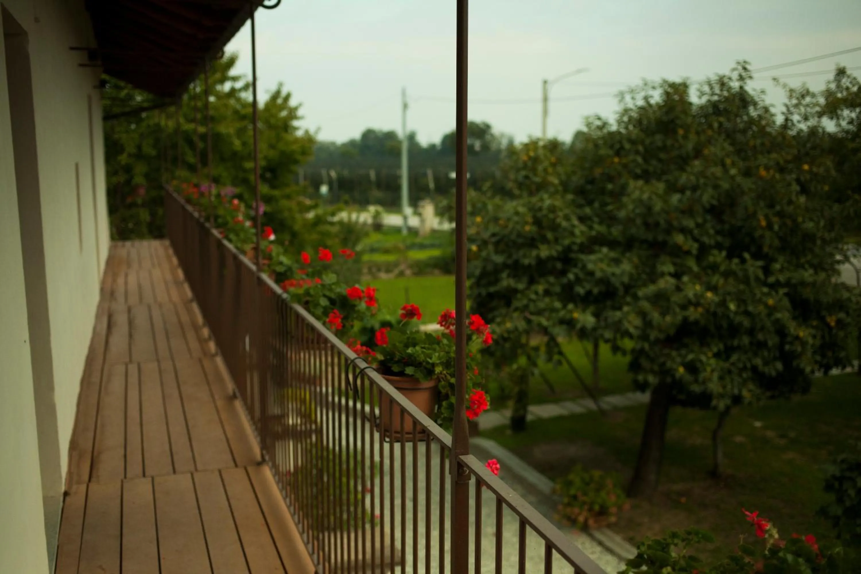 Garden view in Ostello del Monastero