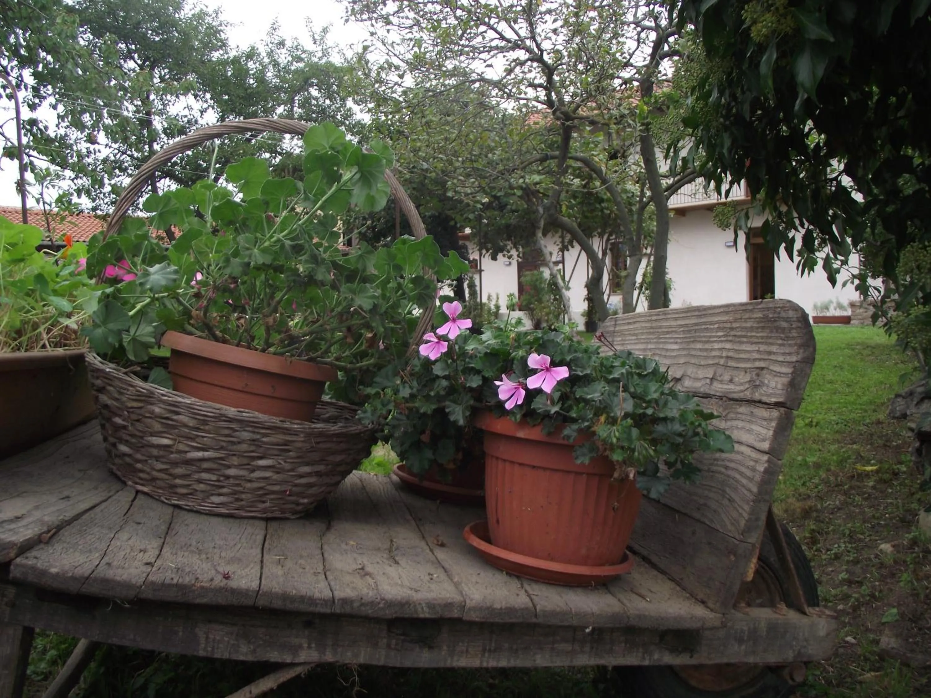 Garden in Ostello del Monastero