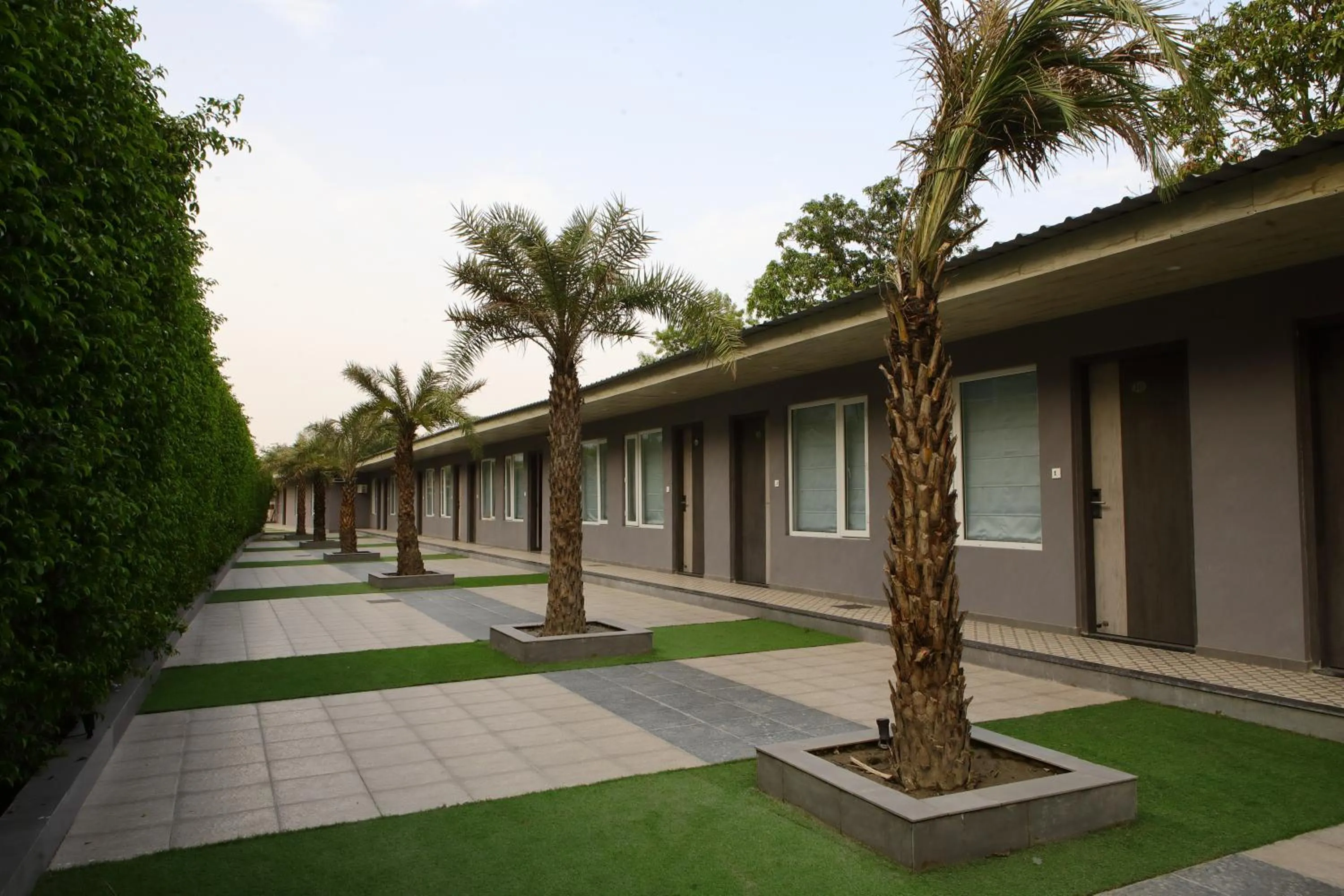 Garden in Kingston Resort