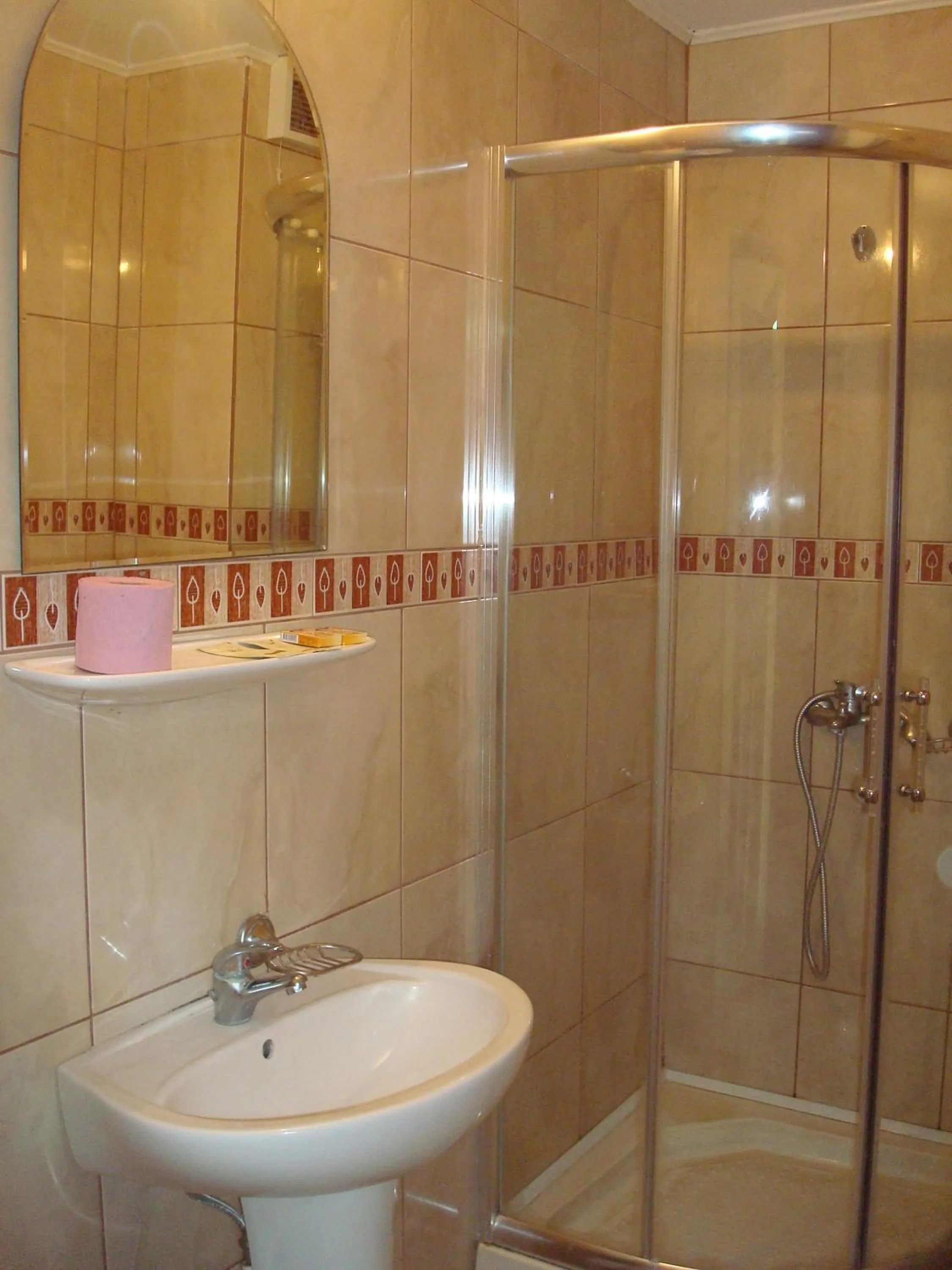 Bathroom in Hotel Terra