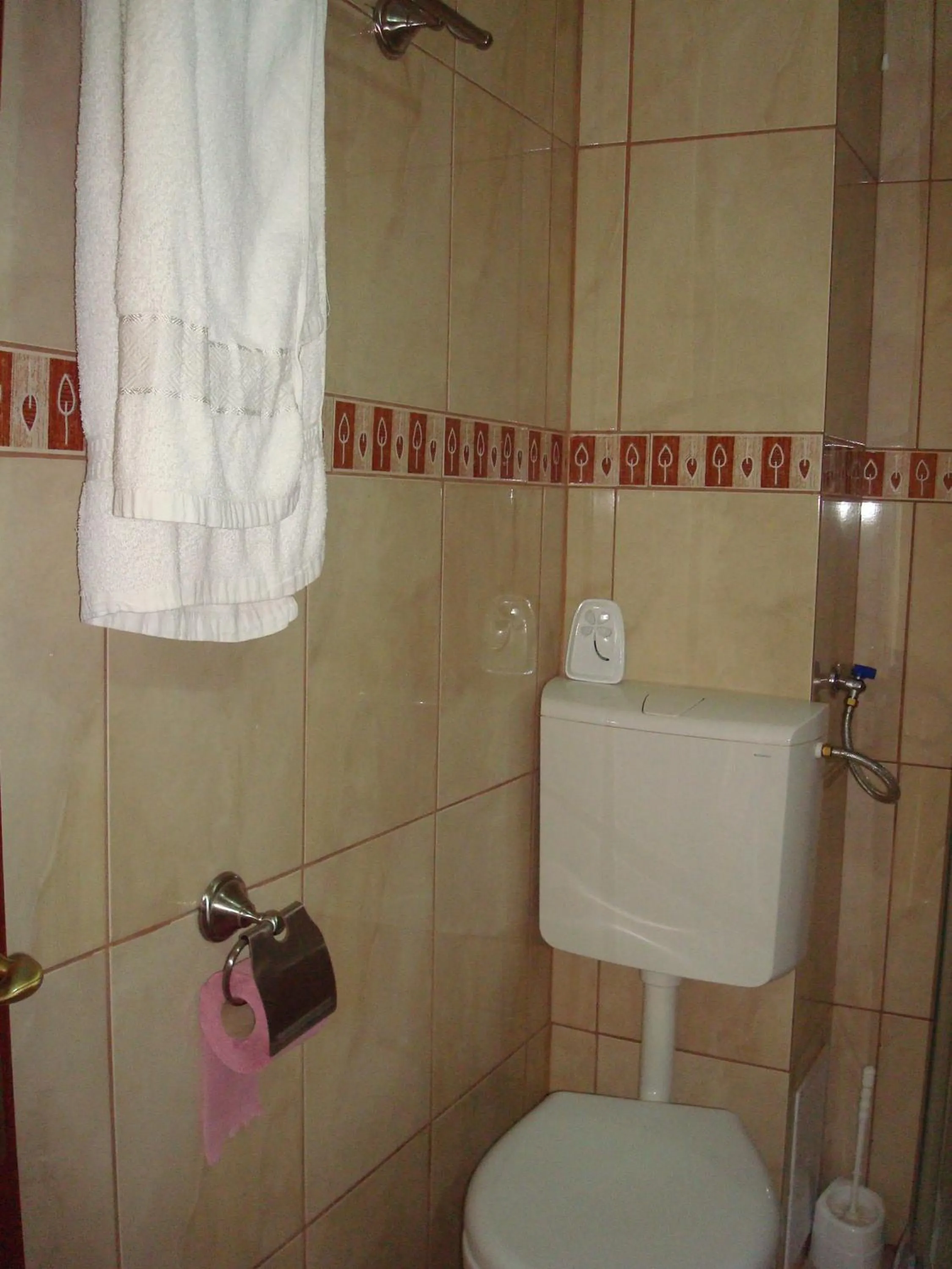 Toilet in Hotel Terra