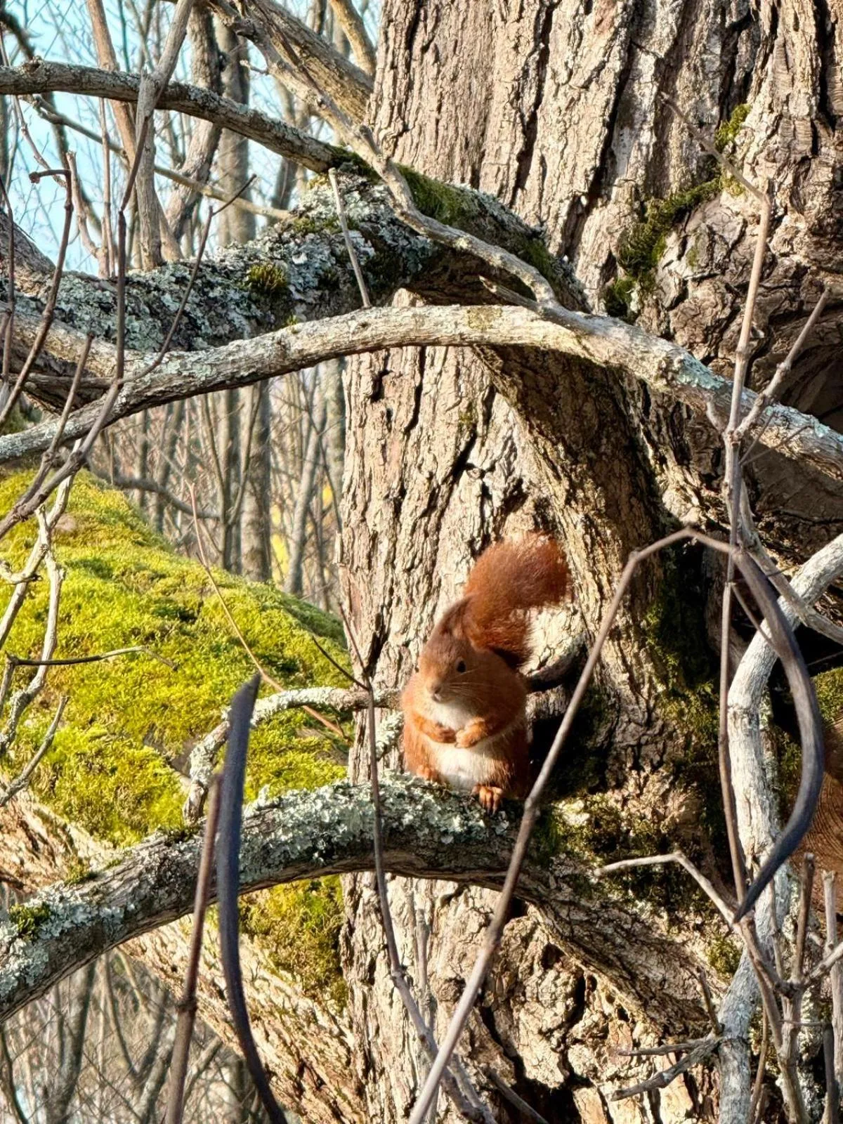 Natural landscape in Hôtel Château de Lacan