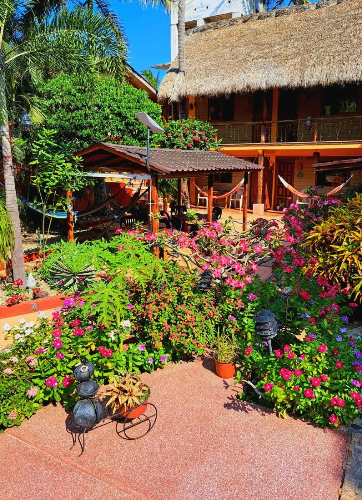 Property building in HOTELITO SWISS OASIS, Playa Zicatela - Adults Only - Kitchen - Cocina