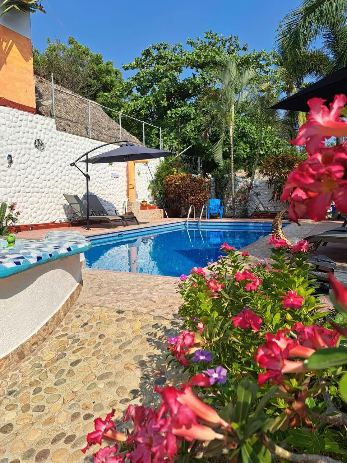 Garden in HOTELITO SWISS OASIS, Playa Zicatela - Adults Only - Kitchen - Cocina