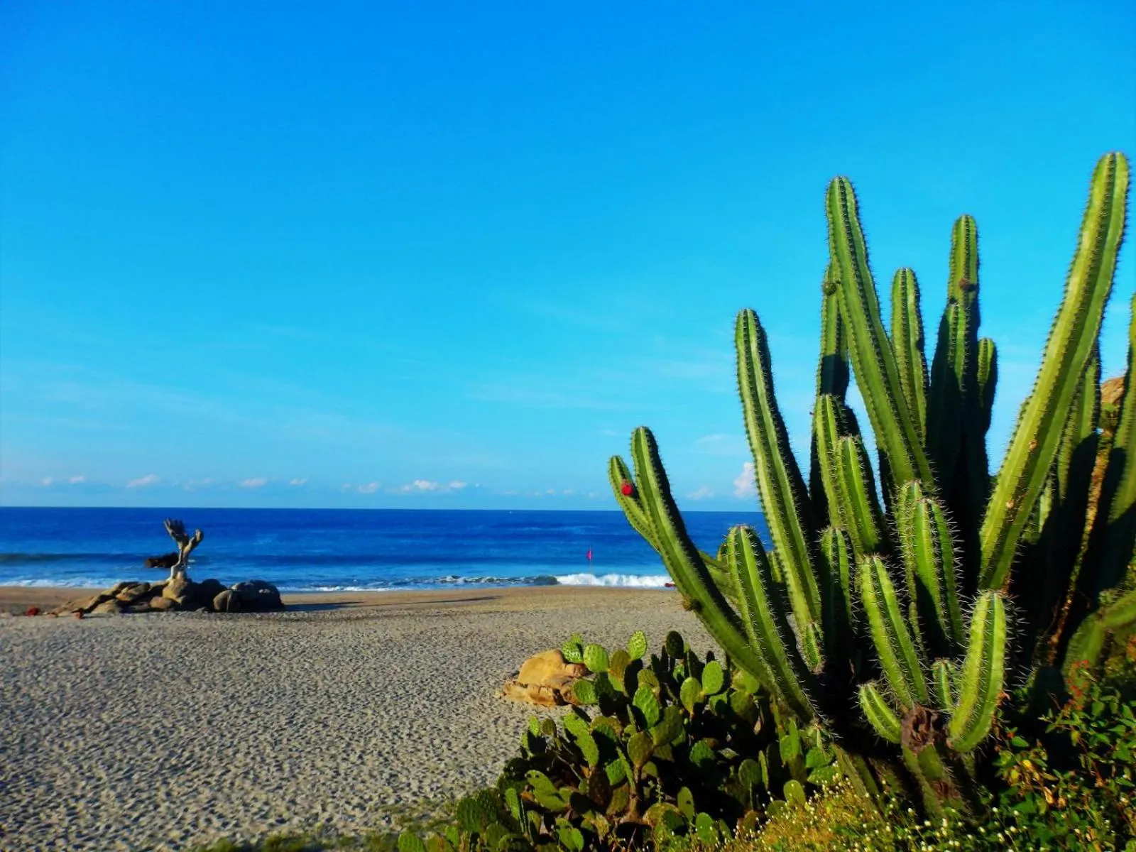 Beach in HOTELITO SWISS OASIS, Playa Zicatela - Adults Only - Kitchen - Cocina