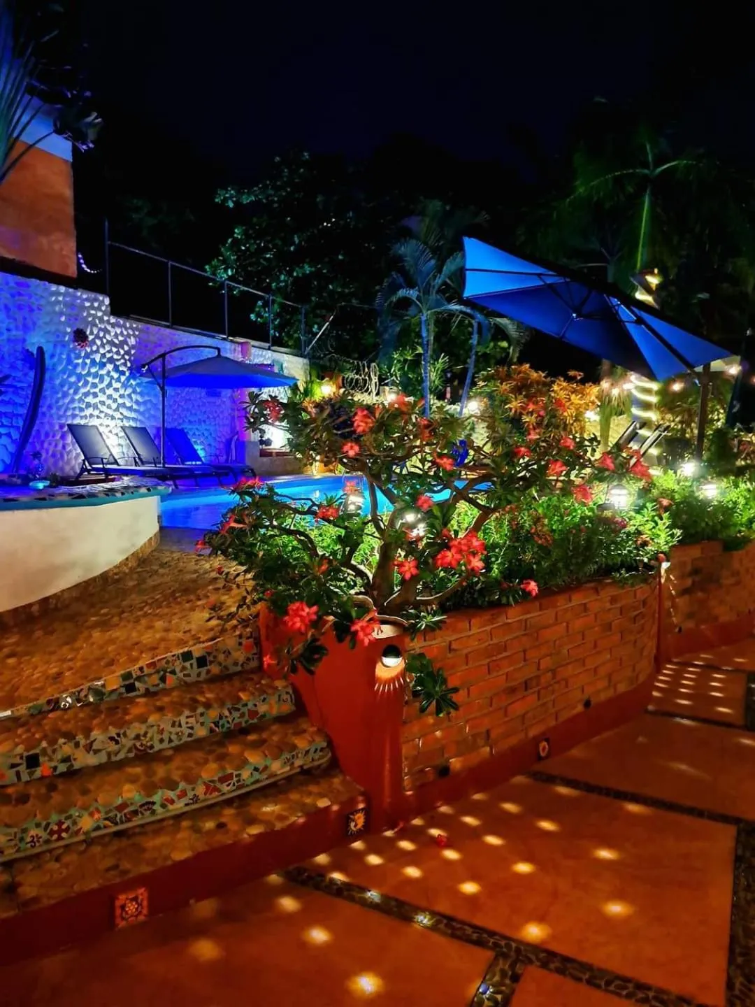 Garden view in HOTELITO SWISS OASIS, Playa Zicatela - Adults Only - Kitchen - Cocina