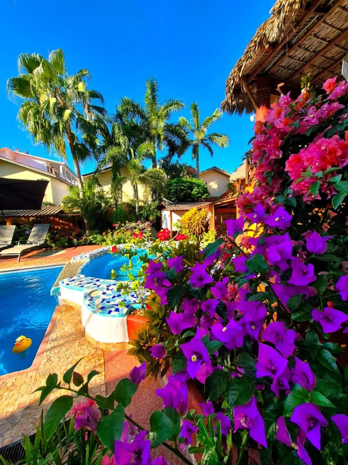Garden in HOTELITO SWISS OASIS, Playa Zicatela - Adults Only - Kitchen - Cocina
