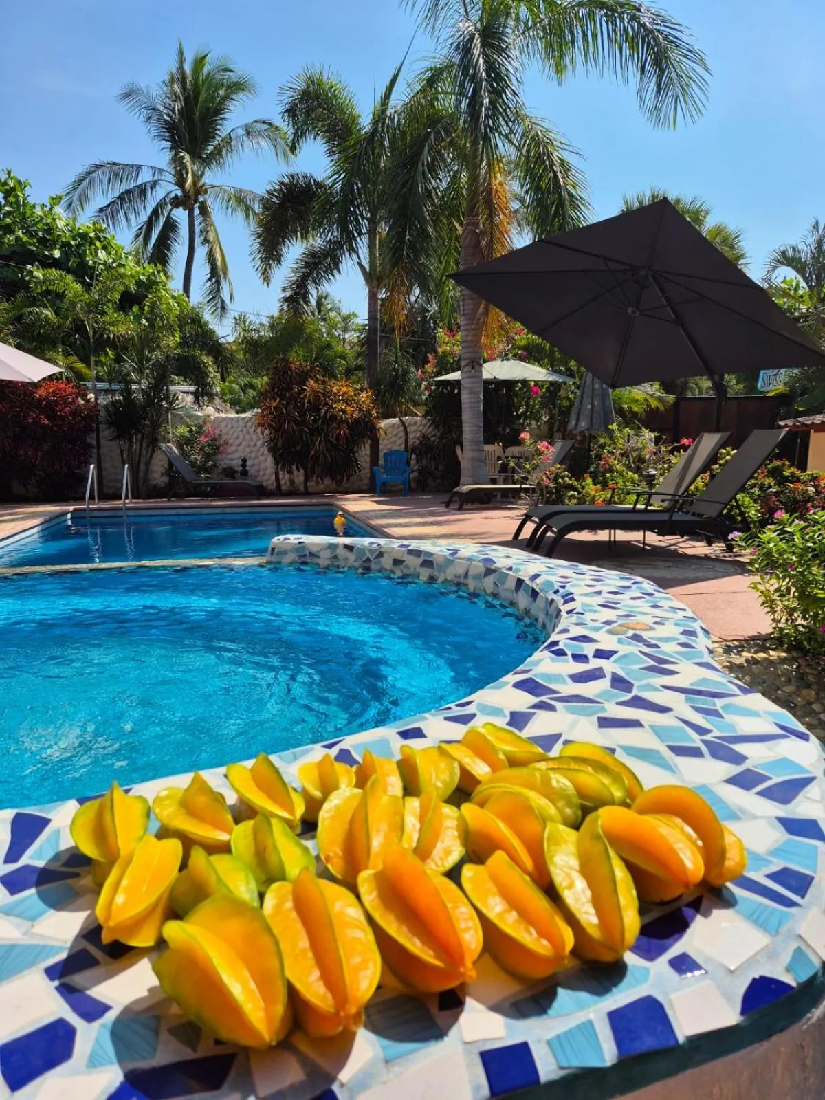 Garden in HOTELITO SWISS OASIS, Playa Zicatela - Adults Only - Kitchen - Cocina