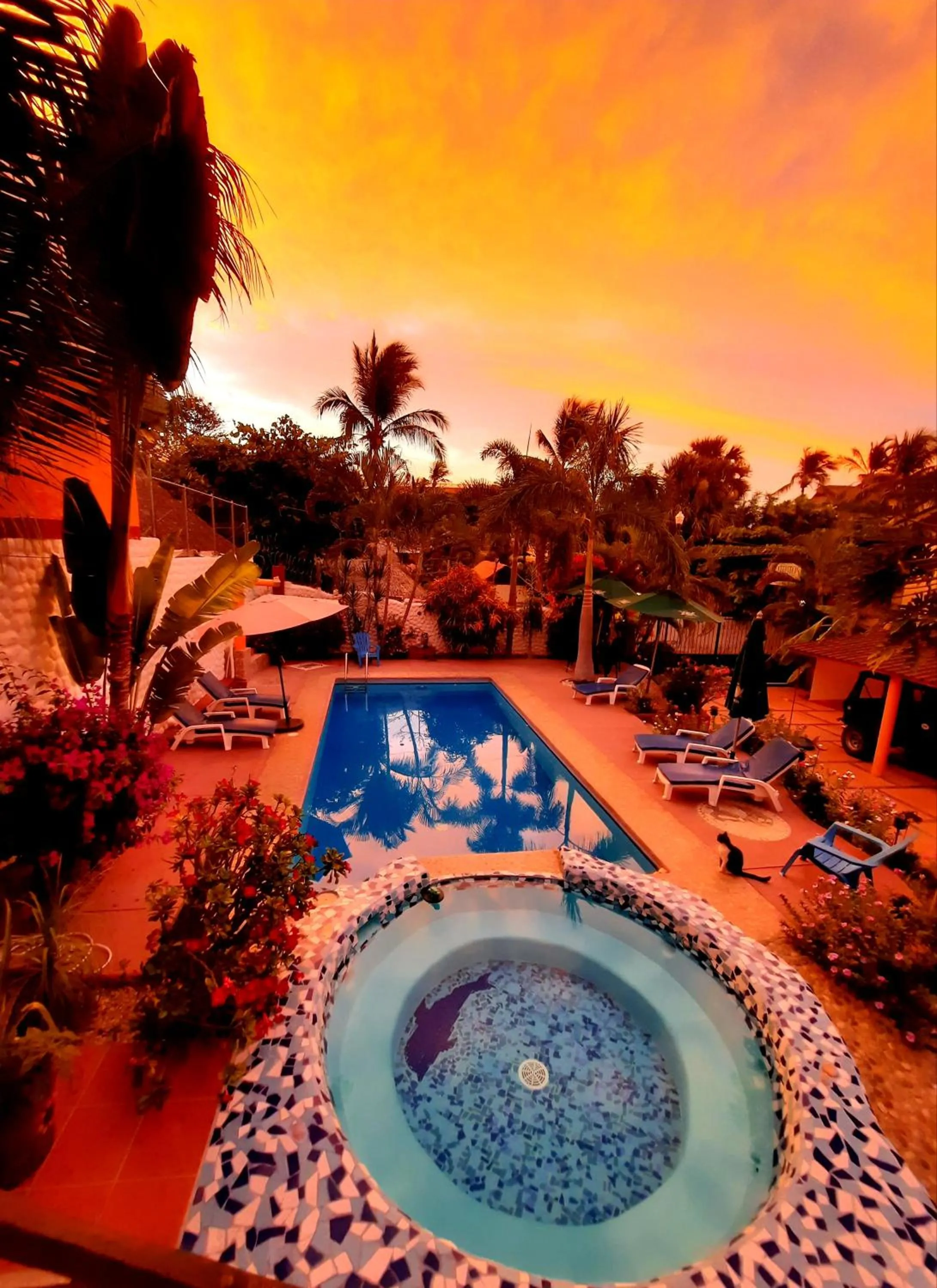 Summer in HOTELITO SWISS OASIS, Playa Zicatela - Adults Only - Kitchen - Cocina