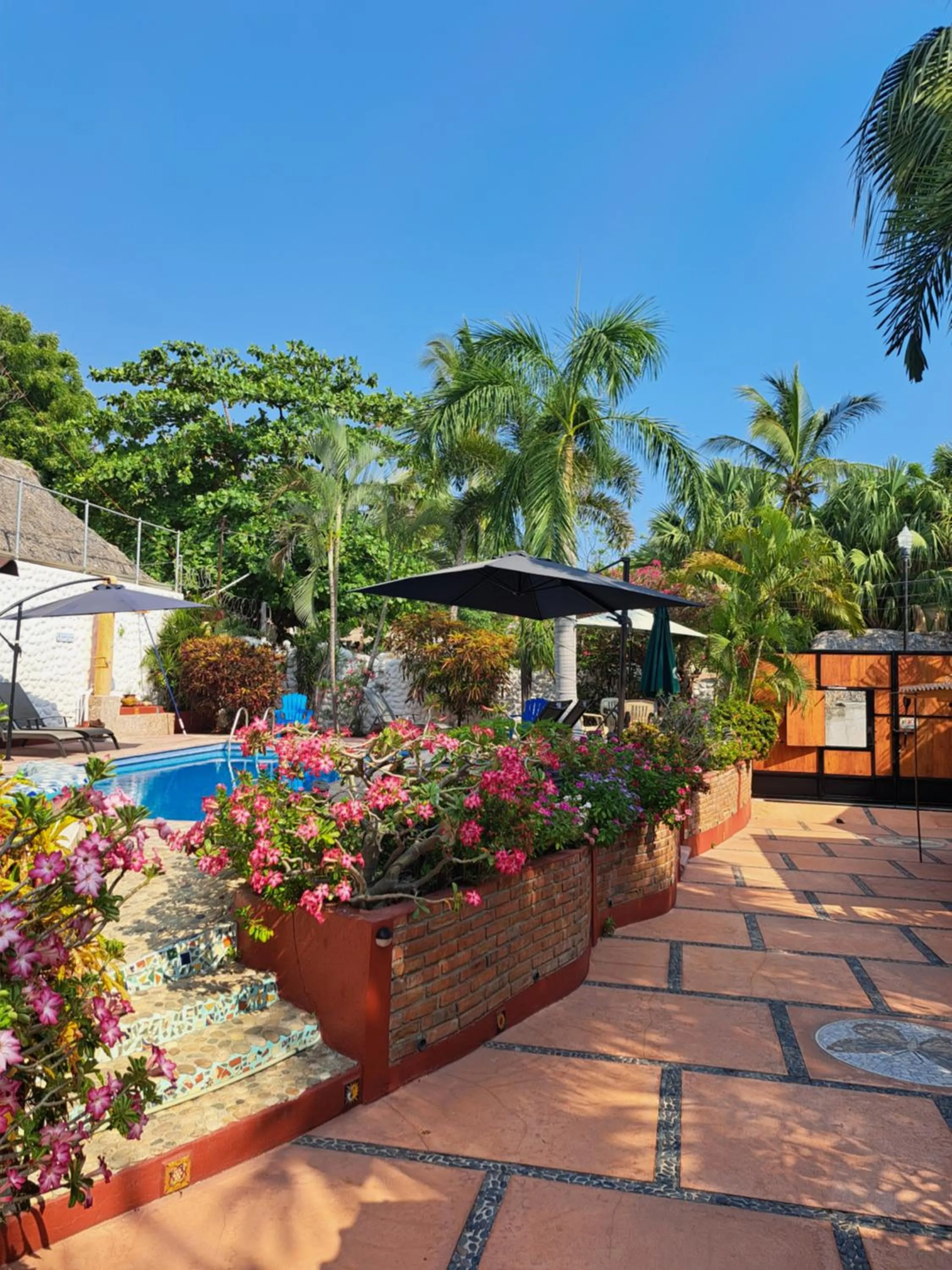 Garden in HOTELITO SWISS OASIS, Playa Zicatela - Adults Only - Kitchen - Cocina