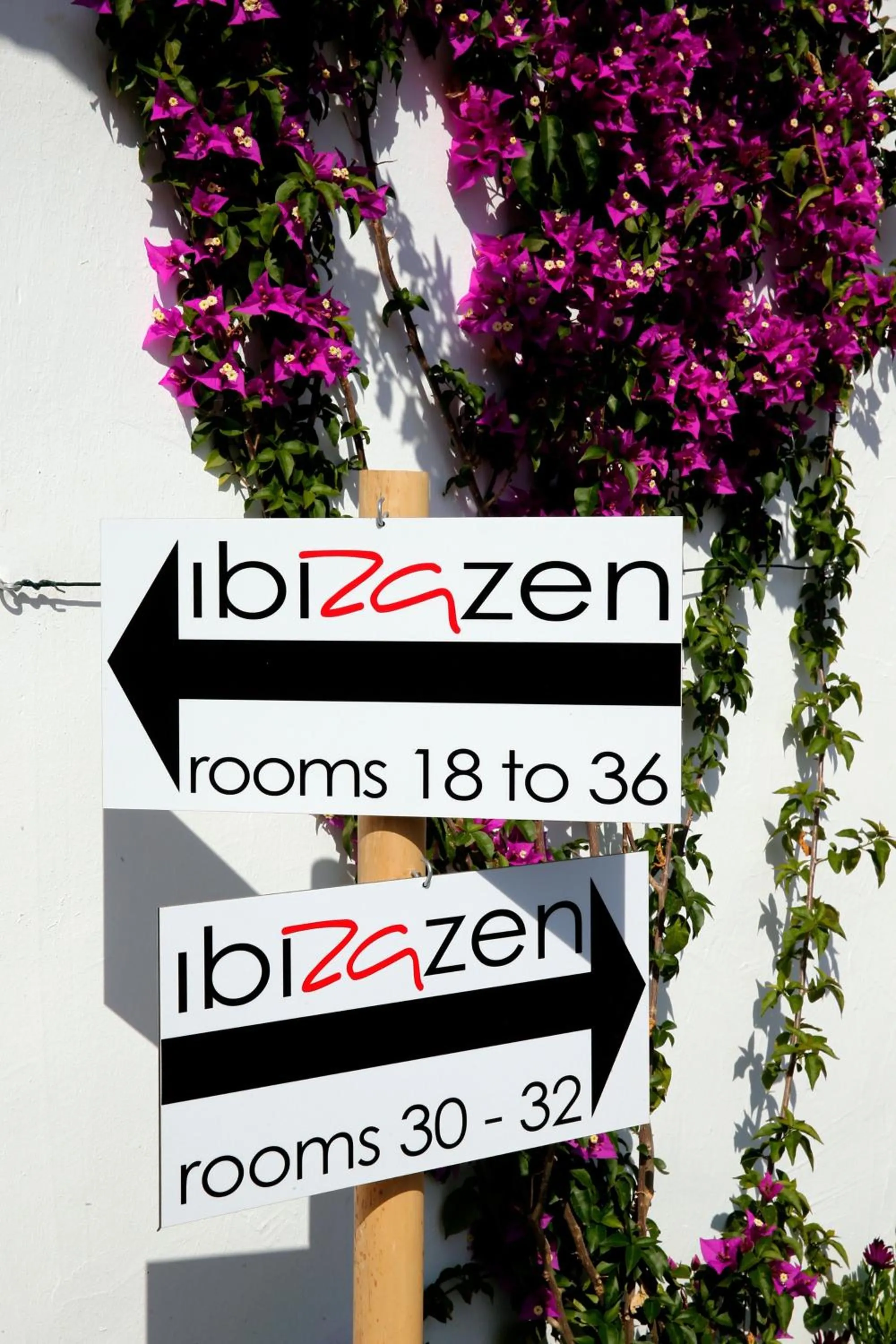 Other in Ibizazen