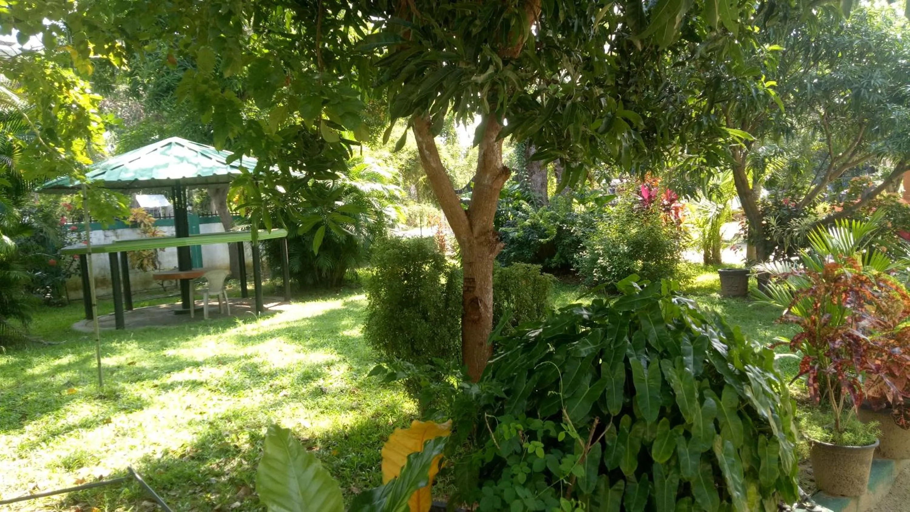 Day in heritage thambapanni