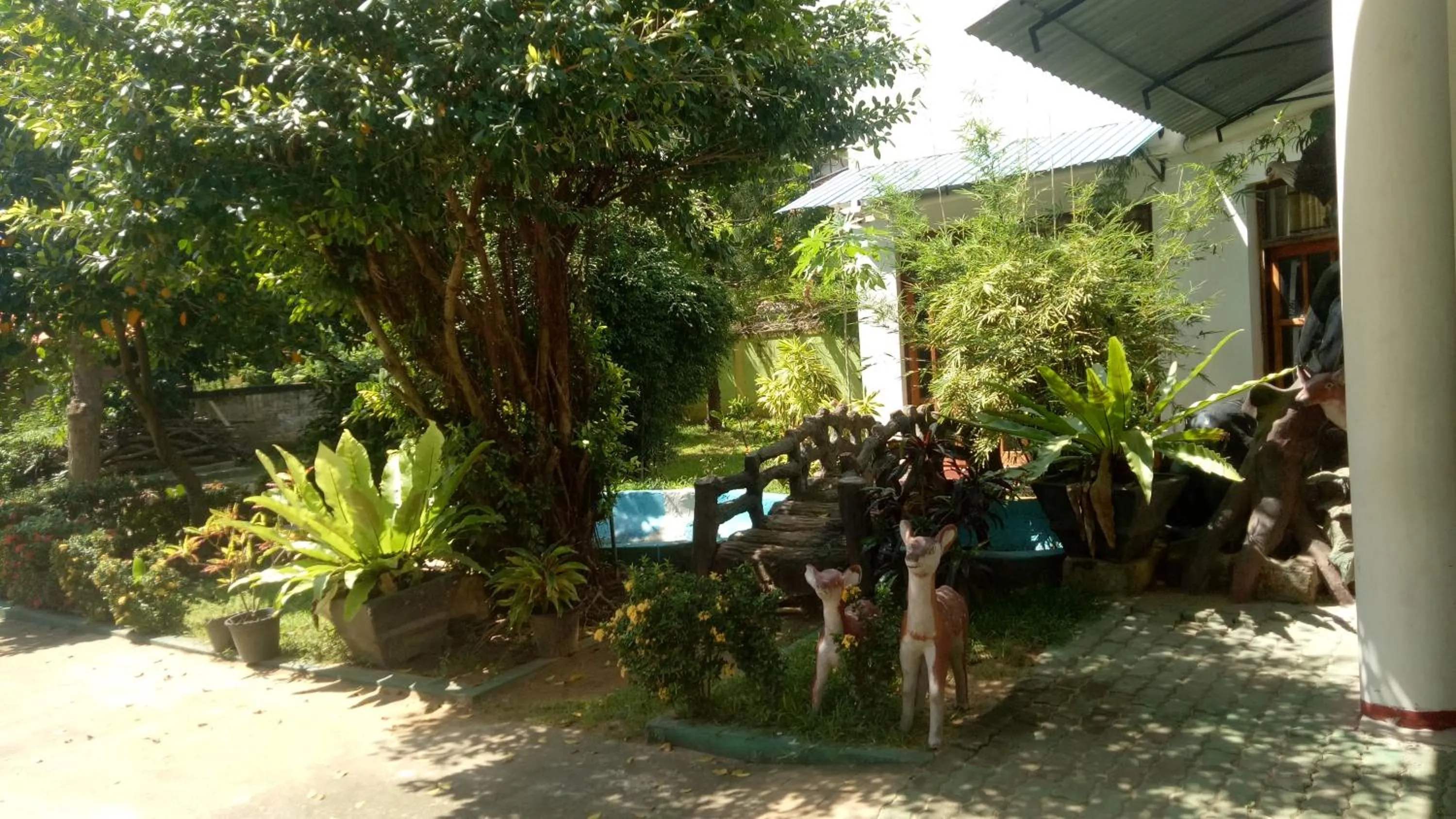 Day in heritage thambapanni