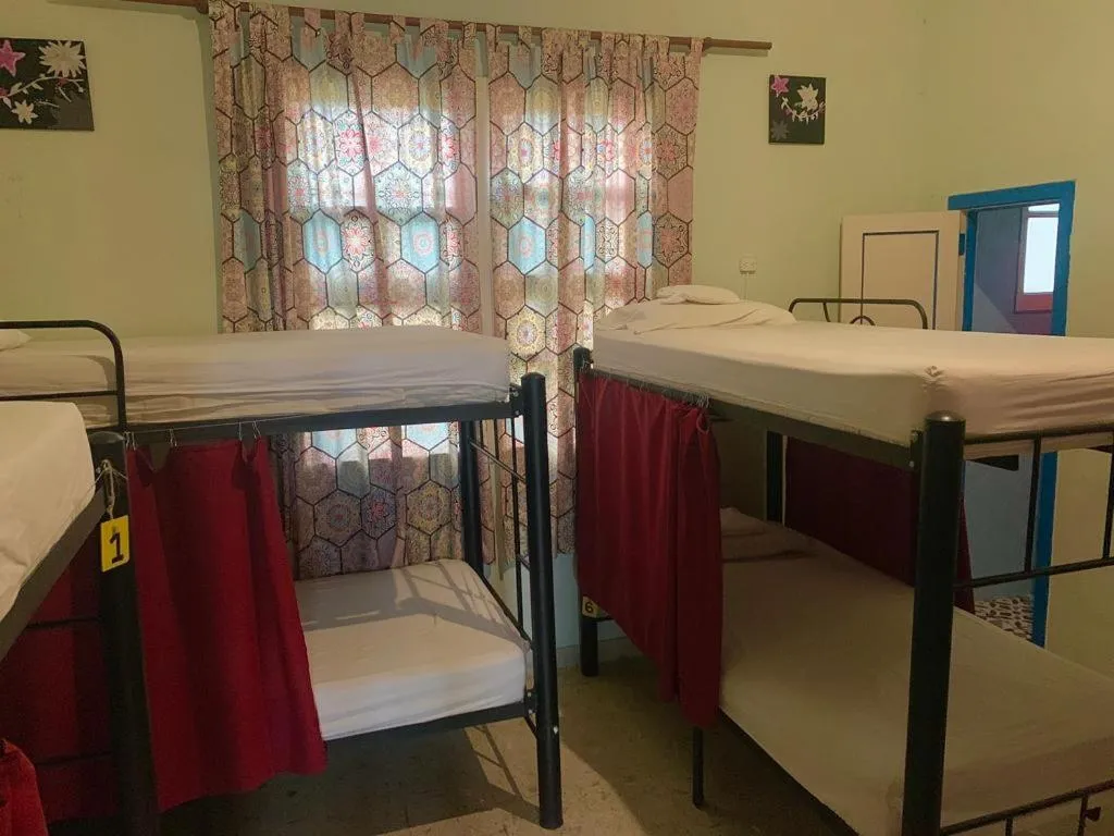 Single Bed in Female Dormitory Room in The Pelican Larry Hostel