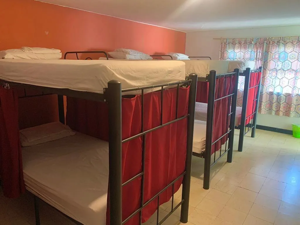 Bed in 8-Bed Mixed Dormitory Room in The Pelican Larry Hostel