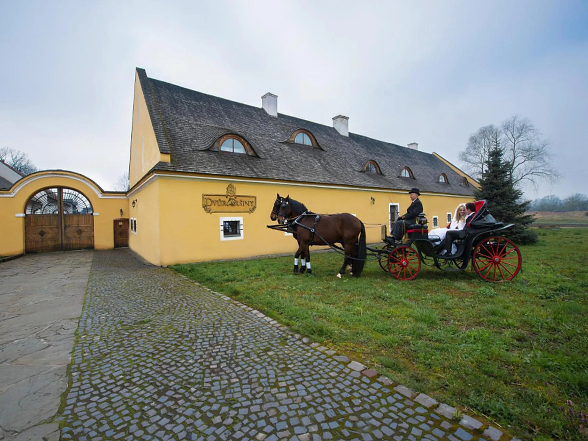 Street view in Dvůr Olšiny -Hotel and Horse-riding