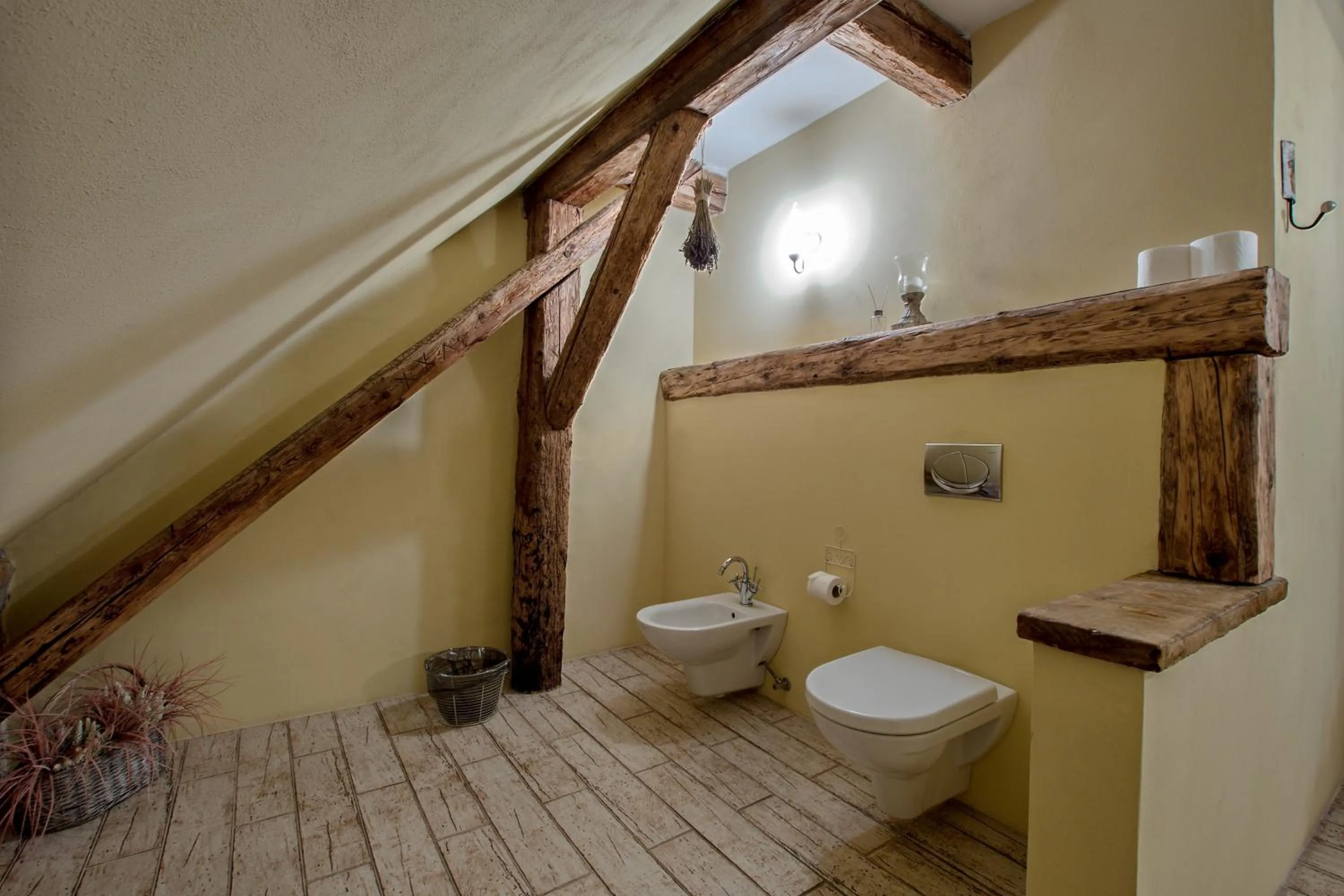 Dvůr Olšiny -Hotel and Horse-riding