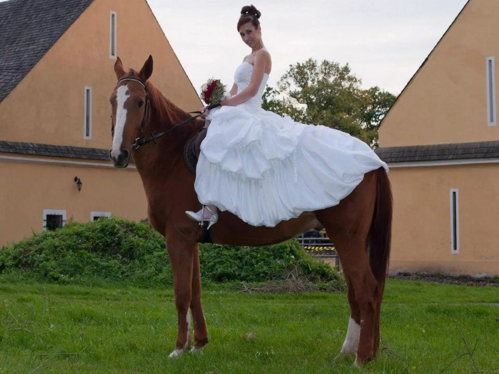 Animals in Dvůr Olšiny -Hotel and Horse-riding