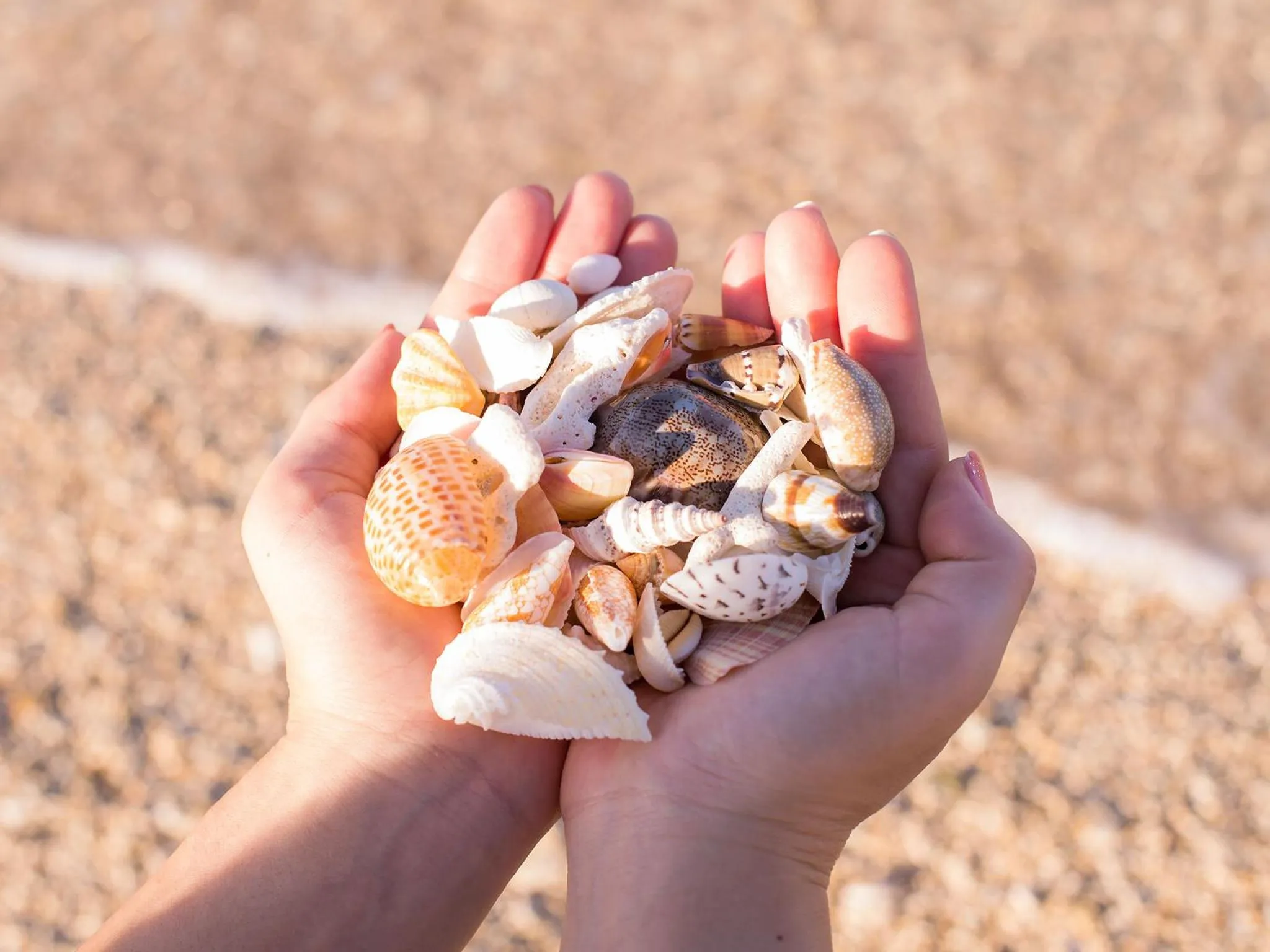 Beach in Hotel Nikko Alivila
