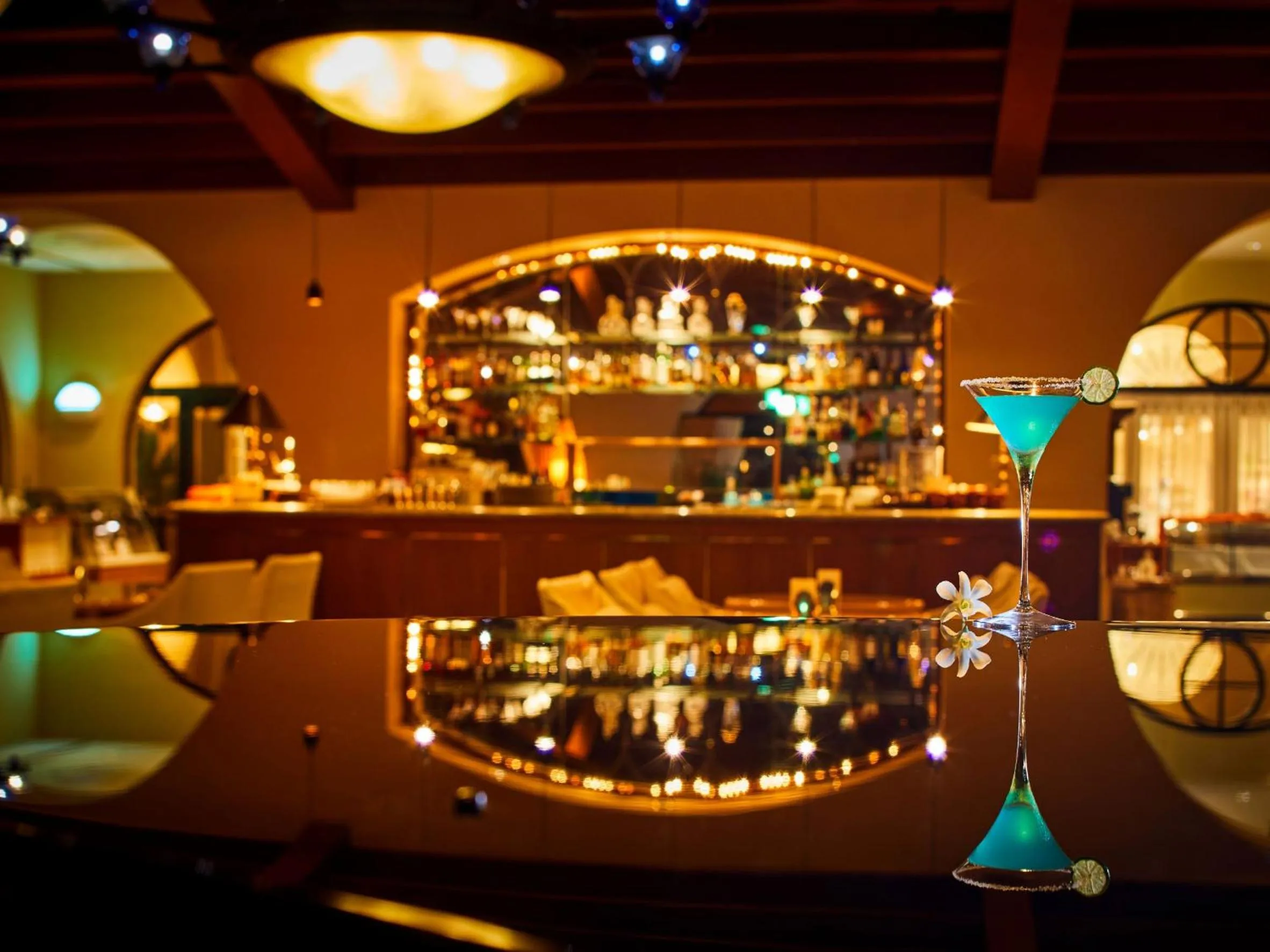 Lounge or bar in Hotel Nikko Alivila