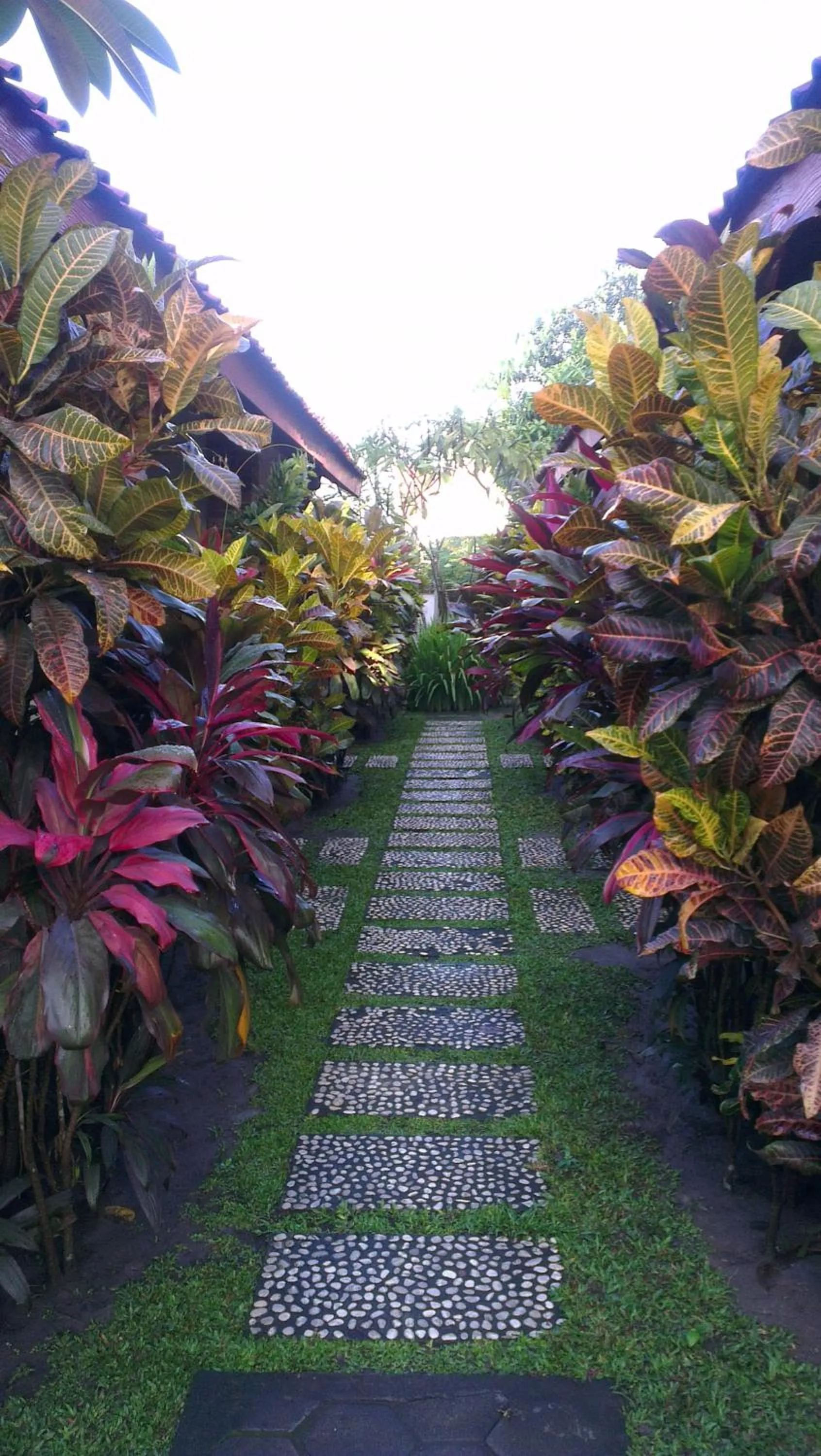 Balcony/Terrace in Puri Pangeran Hotel